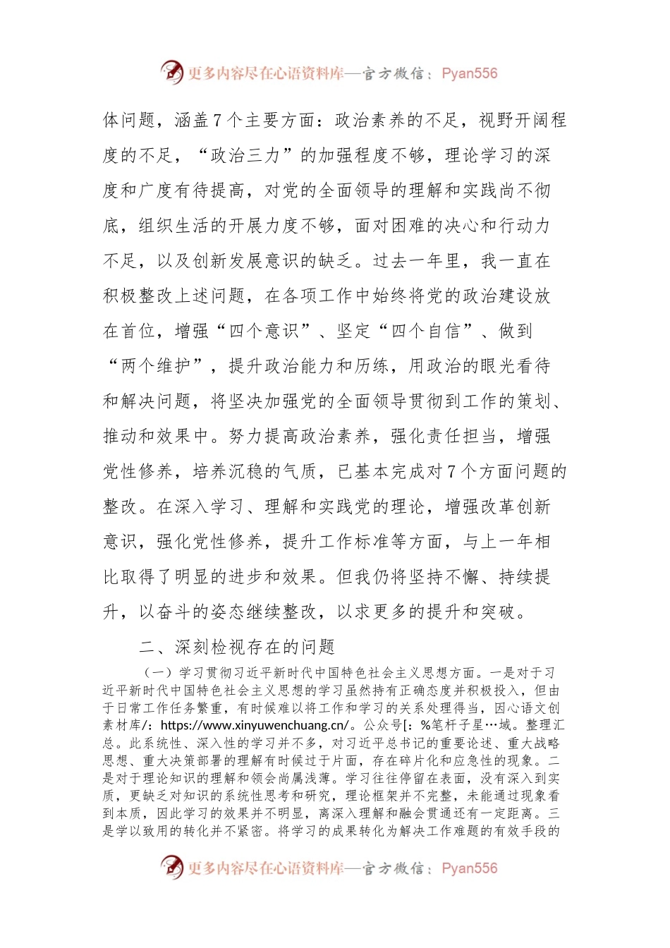 2023年主题教育民主生活会对照检查发言稿提纲.docx_第2页