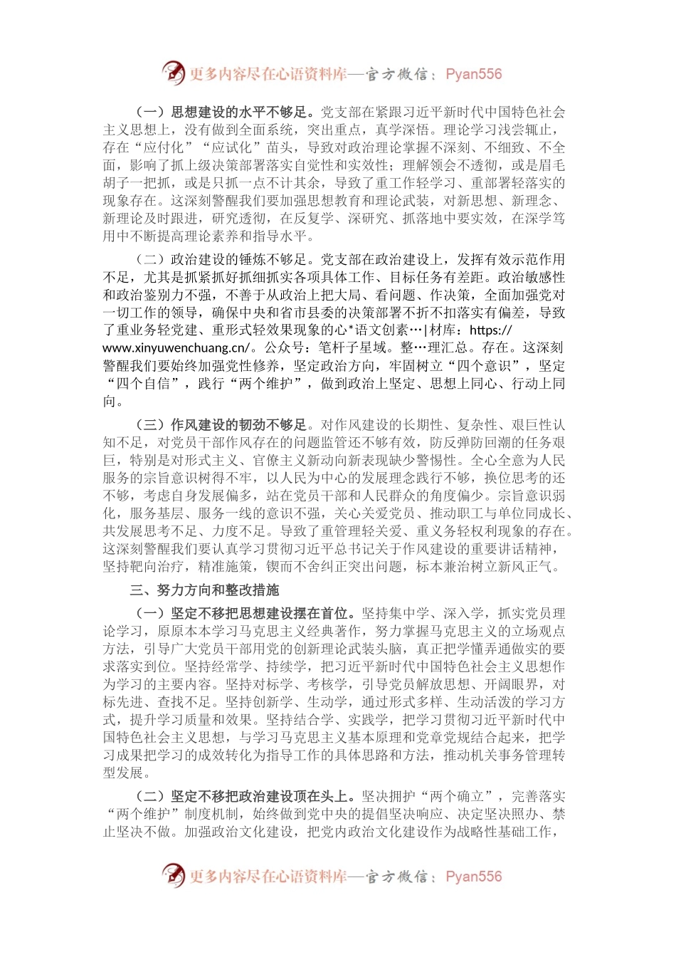 2022年度组织生活会党支部班子对照检查材料（二）.docx_第2页