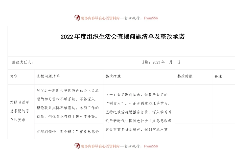 2022年度组织生活会查摆问题清单及整改承诺.docx_第1页