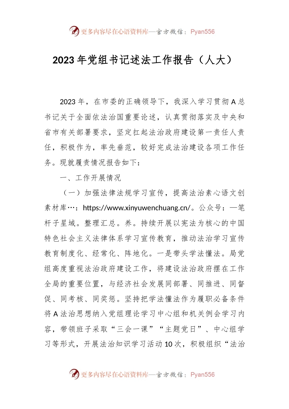 2023年党组书记述法工作报告（人大）.docx_第1页