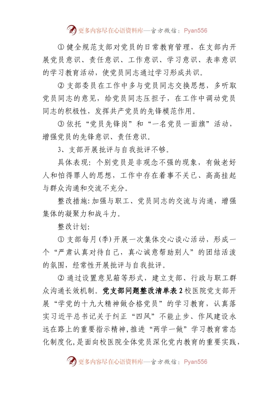 (5篇)党支部问题整改清单表.docx_第2页