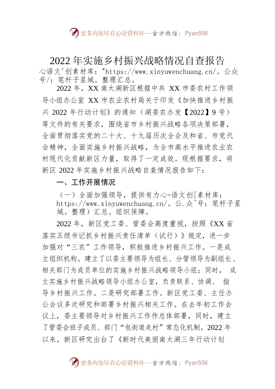 2022年实施乡村振兴战略情况自查报告（20230105）.docx_第1页