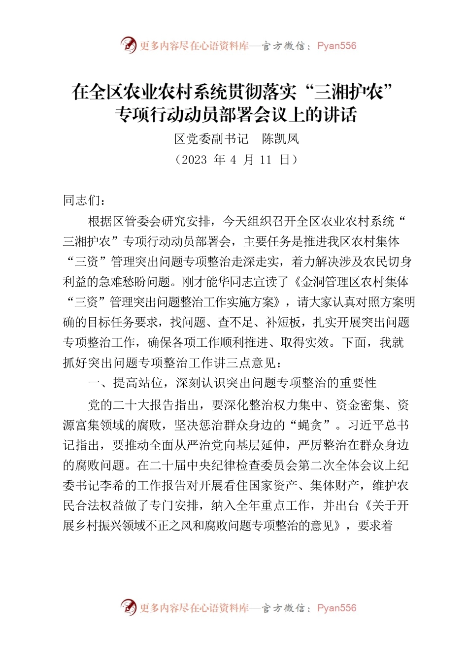 20230410-在三湘护农专项行动动员部署会议上的讲话.docx_第1页