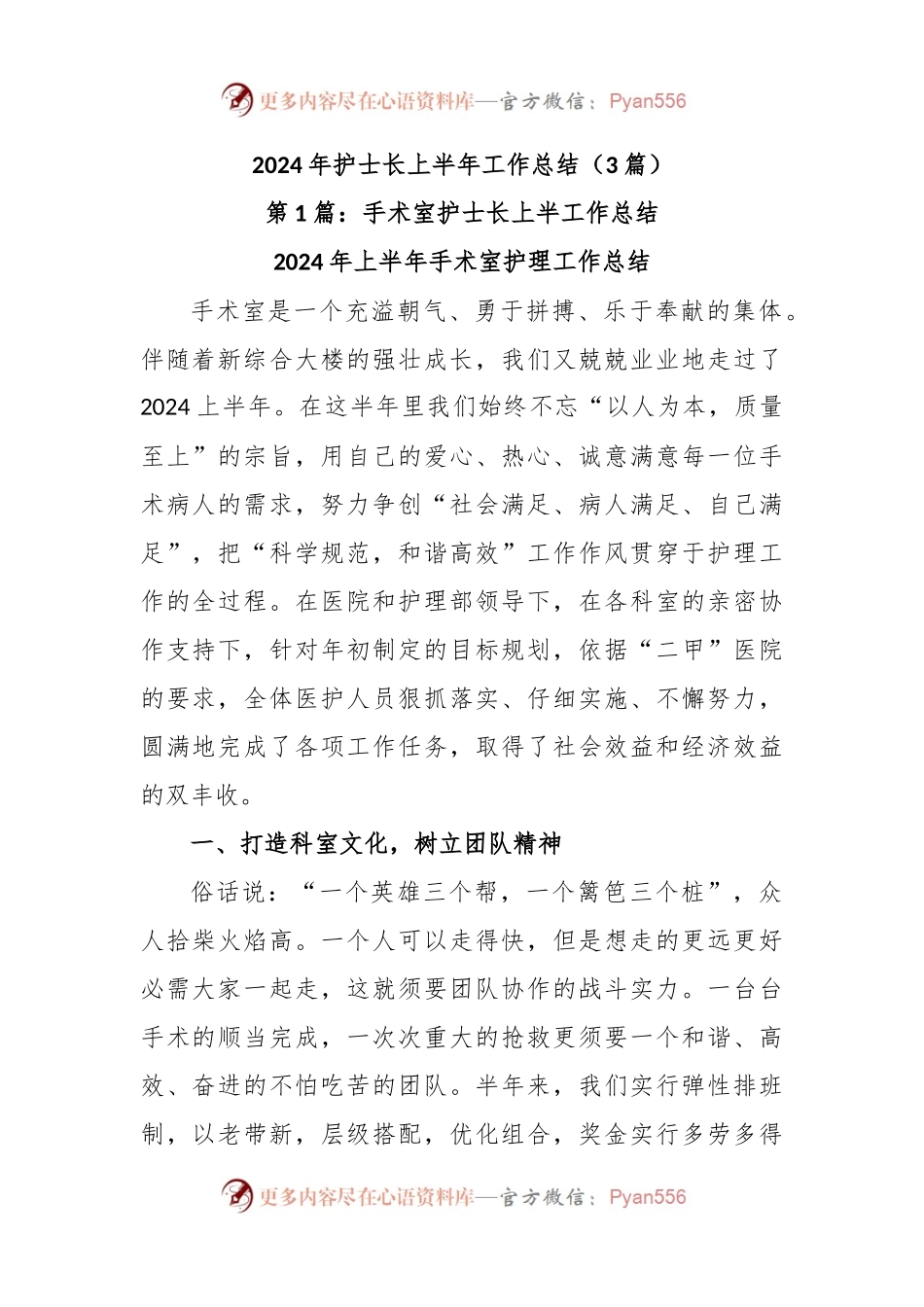(3篇)2024年护士长上半年工作总结.docx_第1页