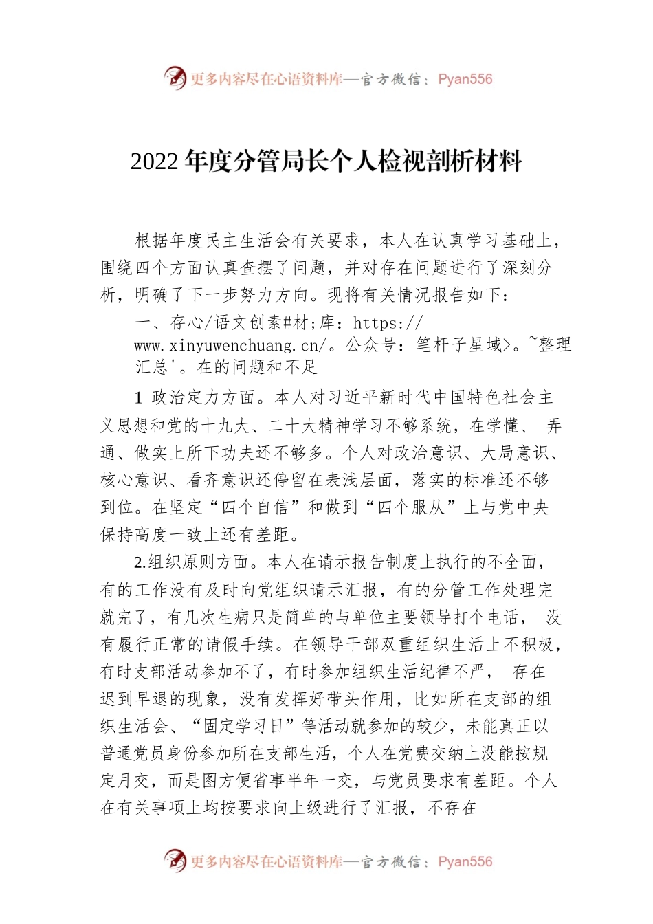 2022年度分管局长个人检视剖析材料.docx_第1页