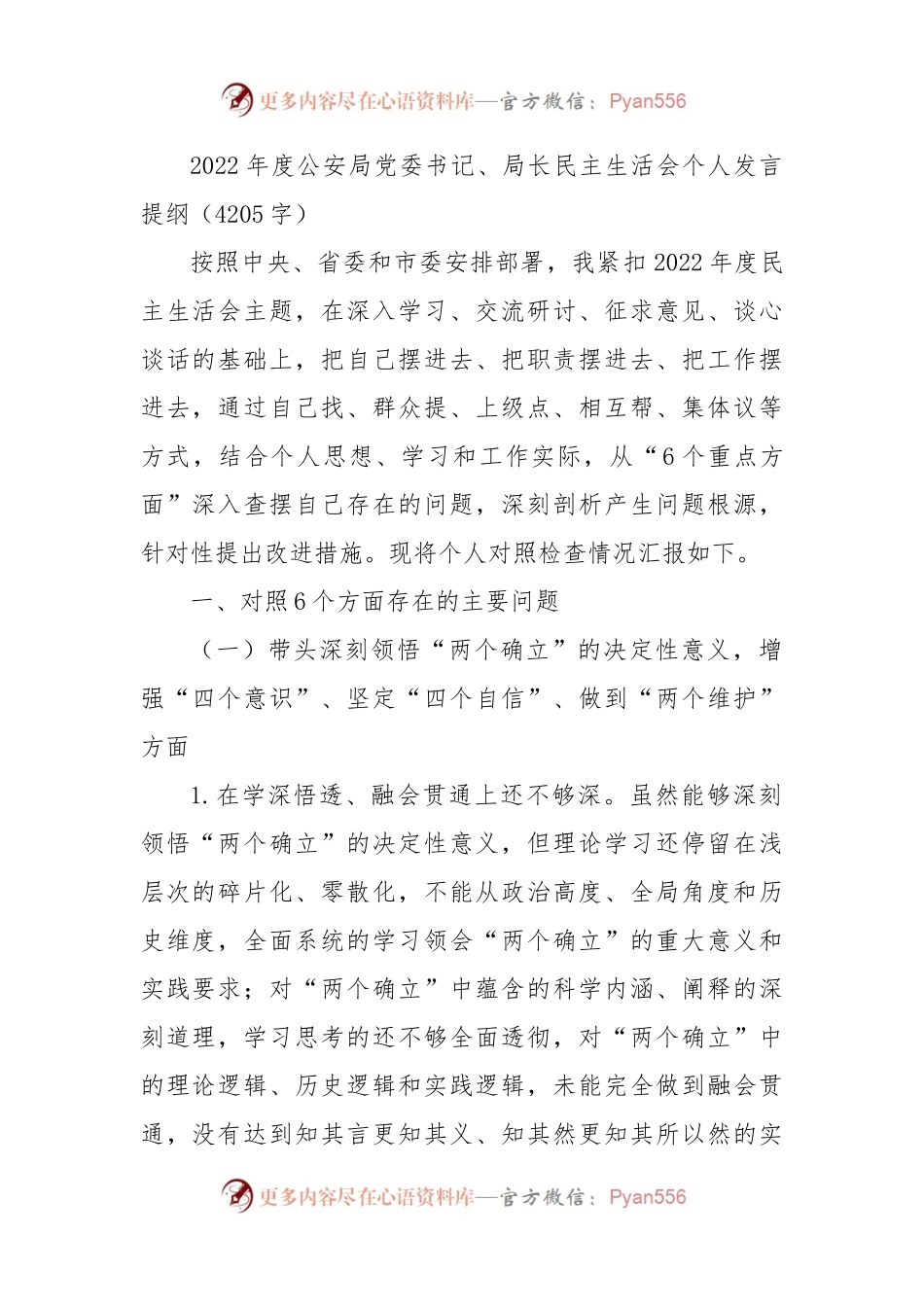 2022年度公安局党委书记、局长民主生活会个人发言提纲.docx_第1页