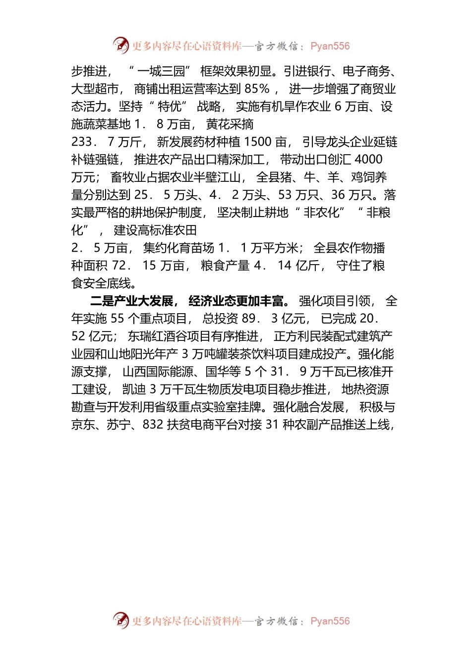 2022年县长在县委全会暨县委经济工作会议上的讲话.docx_第2页