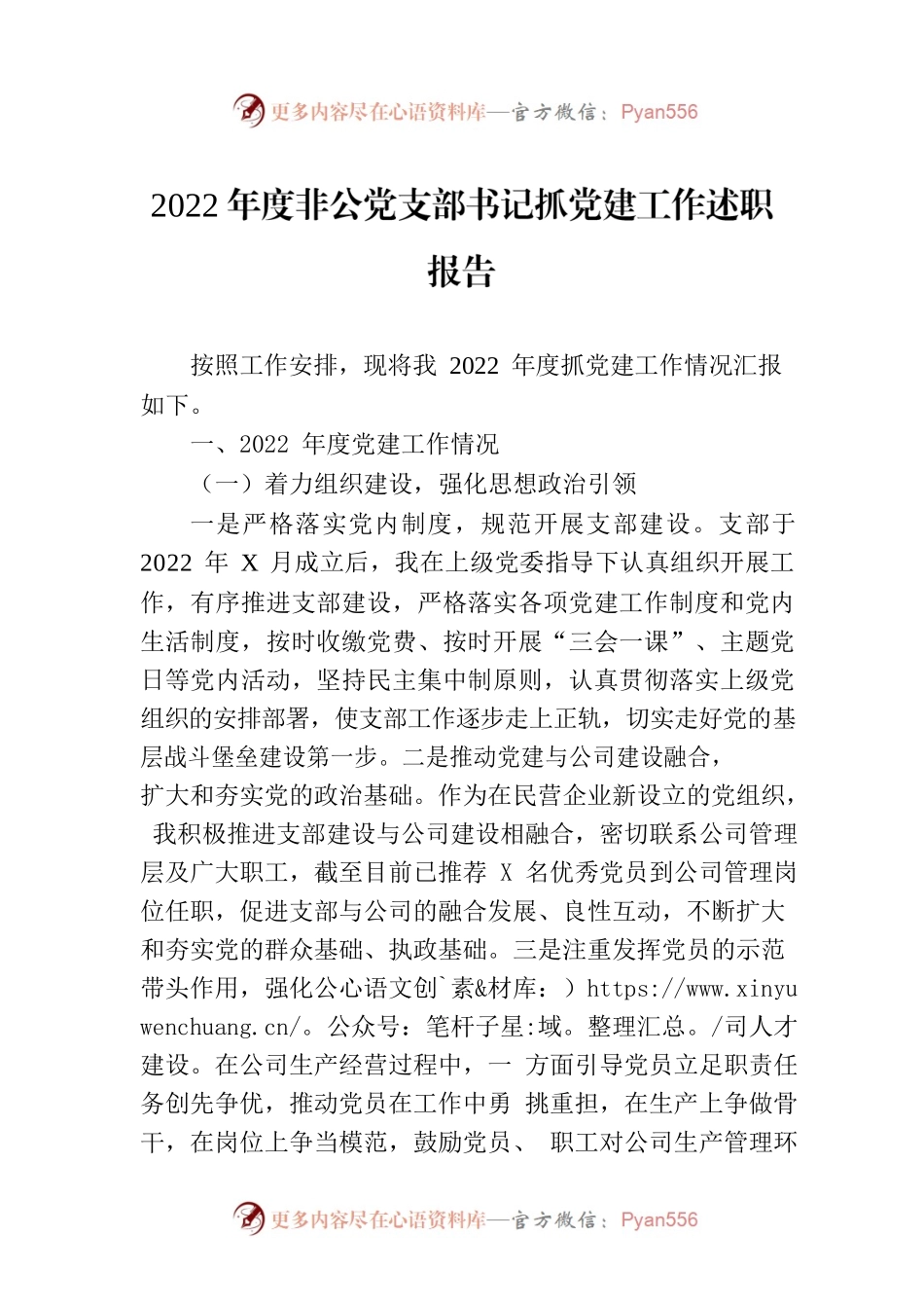 2022年度非公党支部书记抓党建工作述职报告.docx_第1页