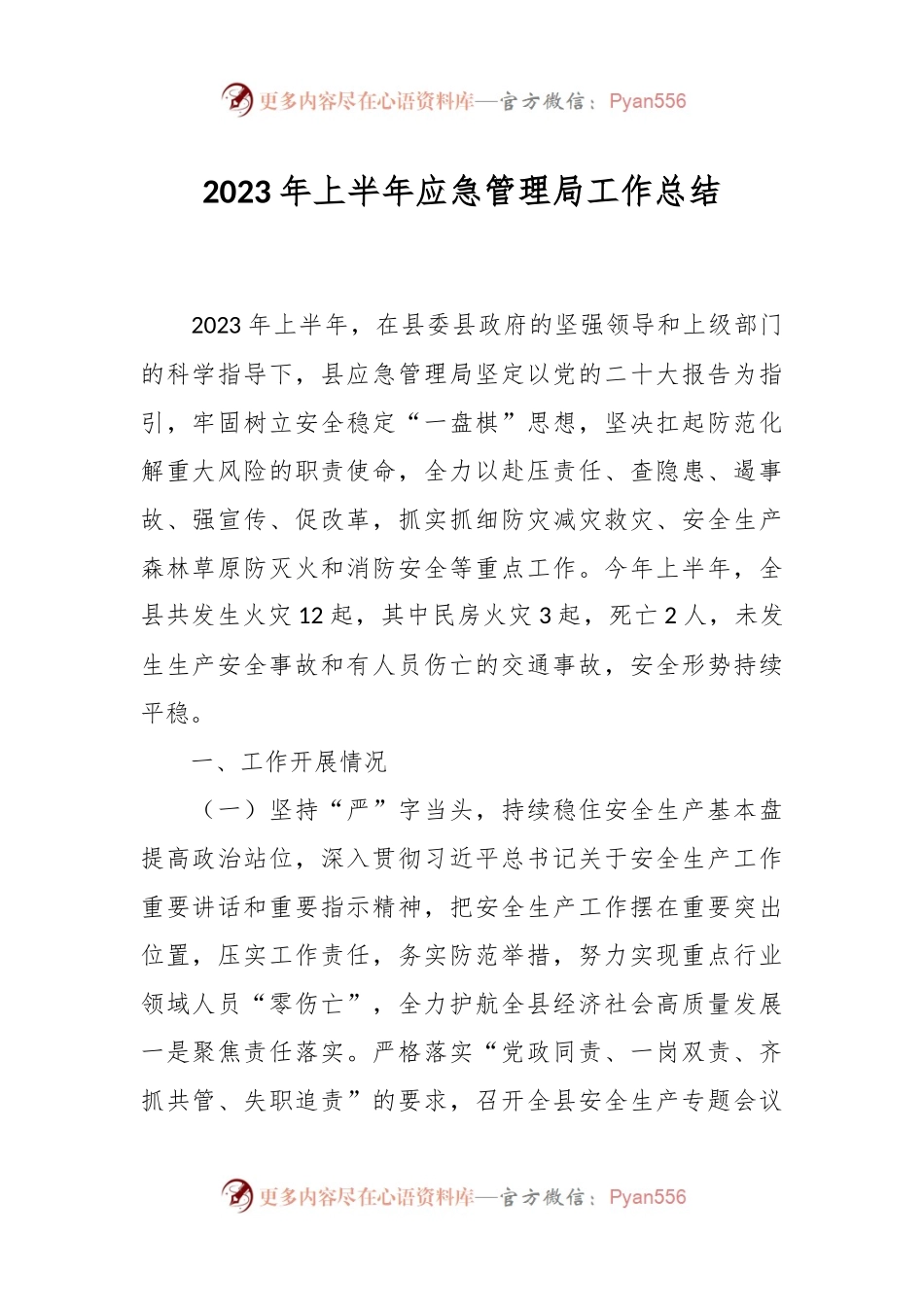 2023年上半年应急管理局工作总结.docx_第1页