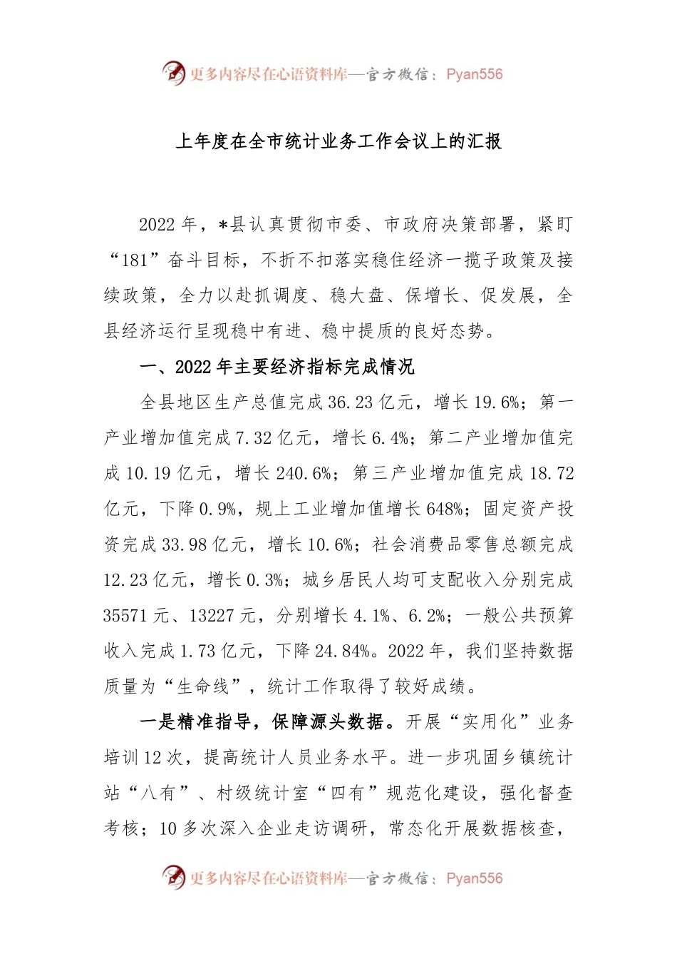 2022年度在全市统计业务工作会议上的汇报.docx_第1页