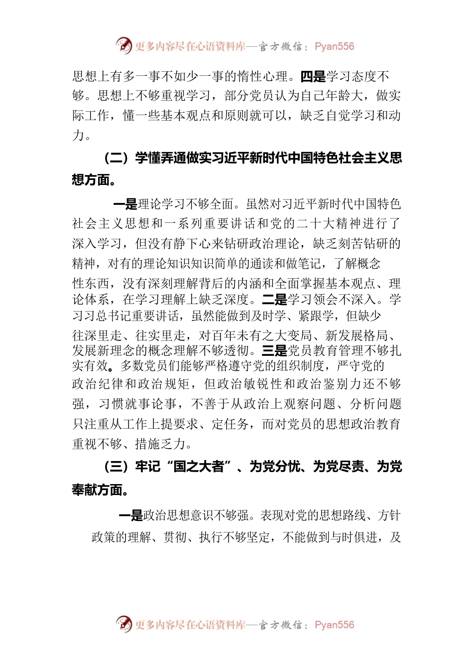 2022年度组织生活会党支部委员会发言提纲.docx_第2页