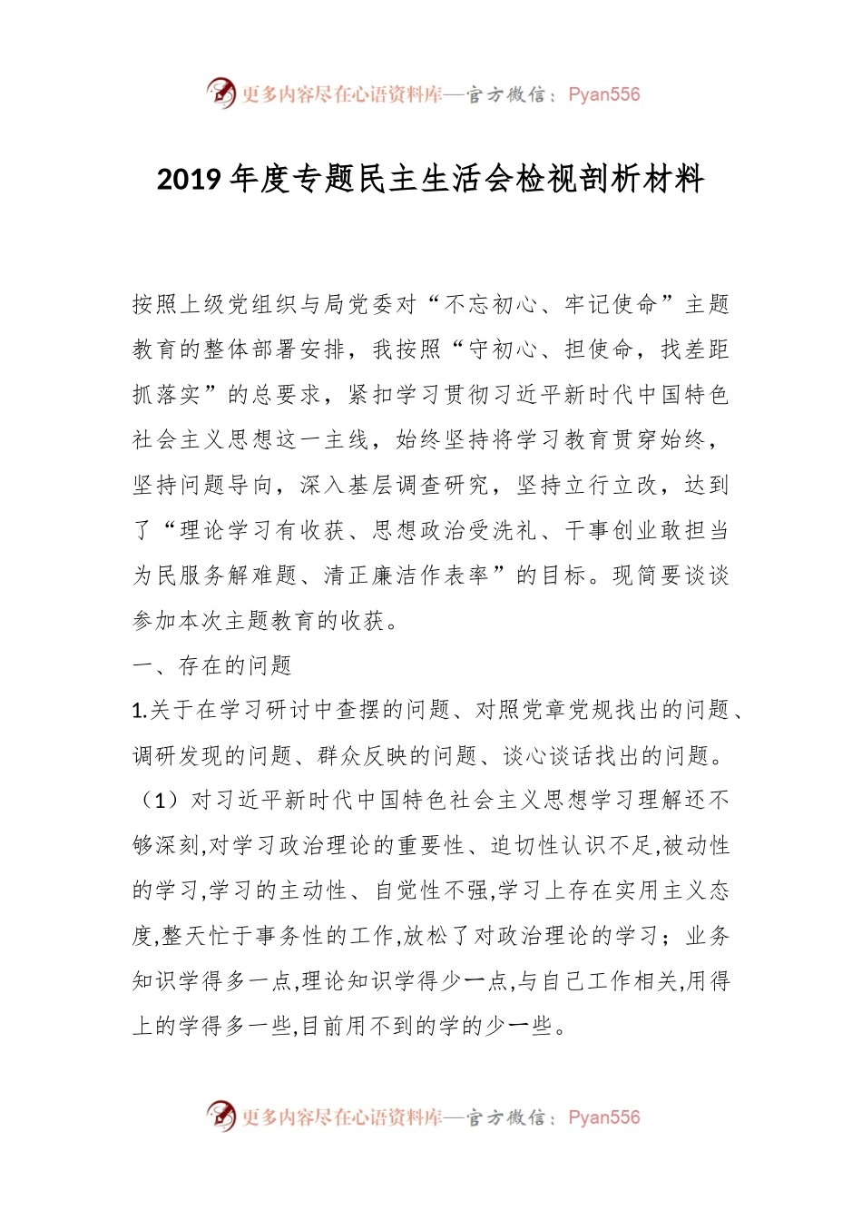 2019年度专题民主生活会检视剖析材料.docx_第1页