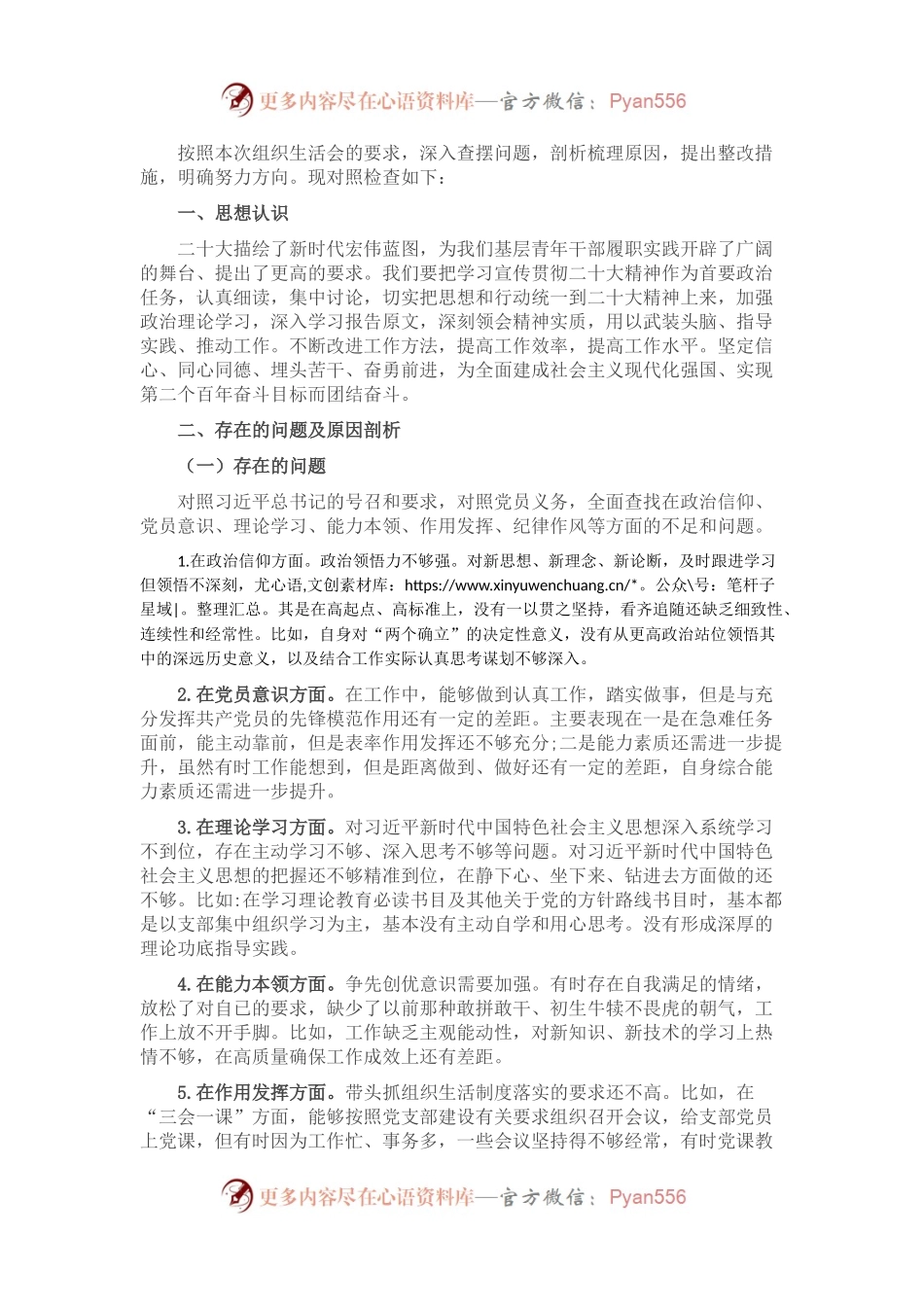 2022年度组织生活会个人对照检查材料（单位主要负责人）.docx_第1页