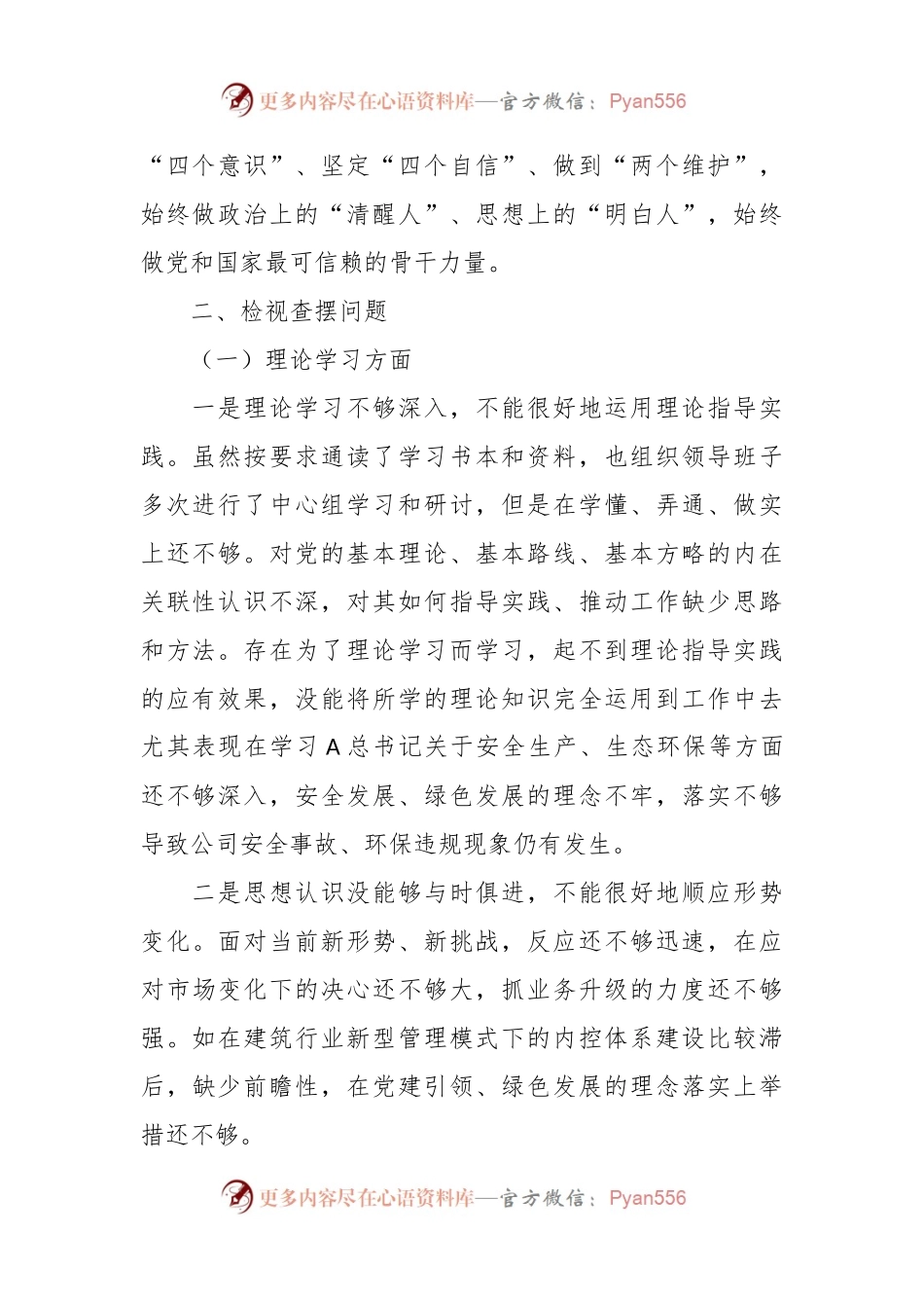 2023年主题教育民主生活会国企党委书记的个人发言提纲.docx_第2页