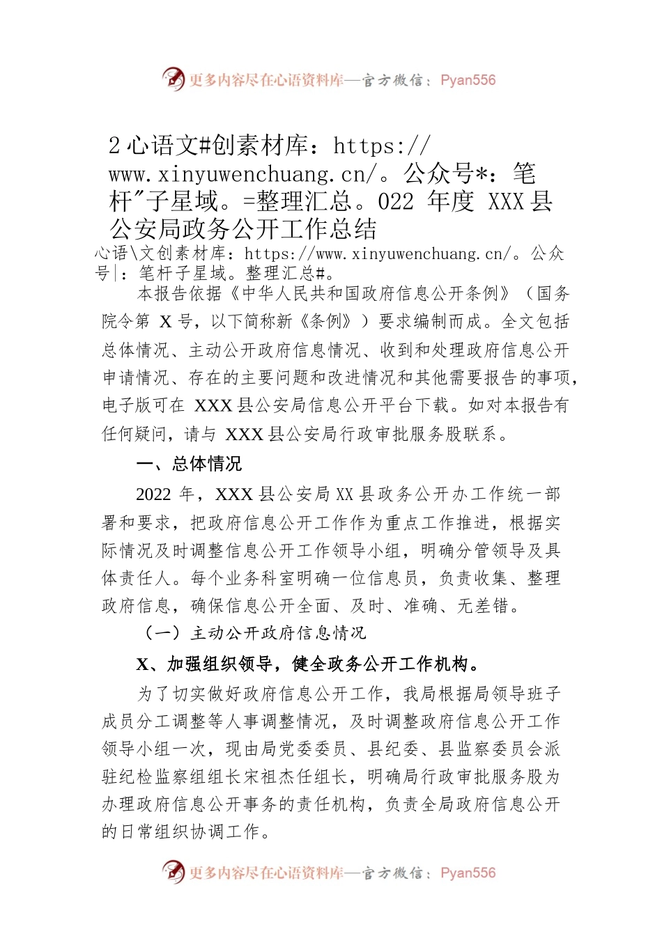 2022年度XX县公安局政务公开工作总结（20221229）.docx_第1页