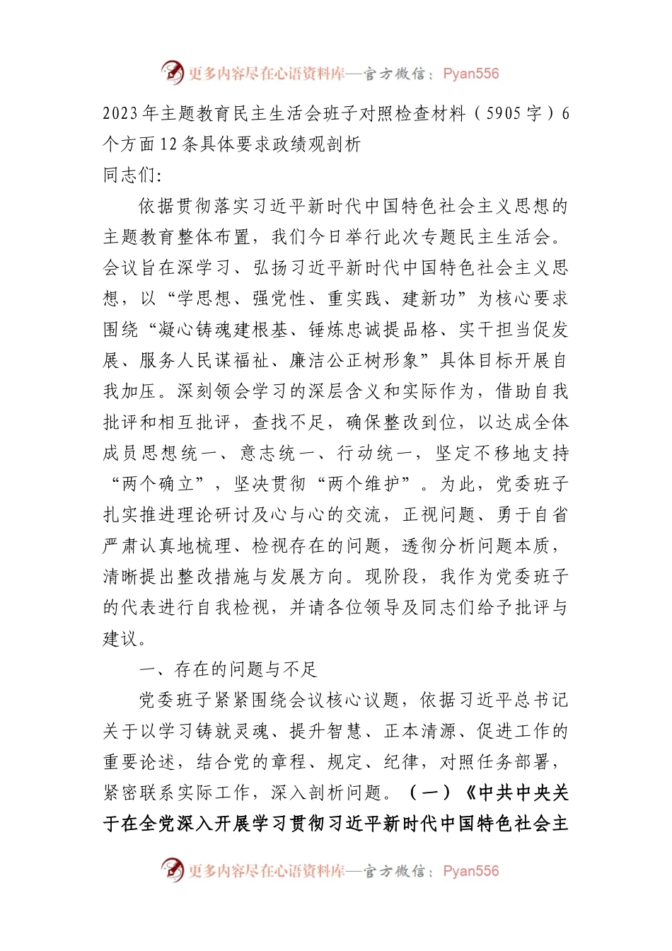 2023年主题教育民主生活会班子对照检查材料（6个方面 12条具体要求 政绩观剖析）(1).docx_第1页