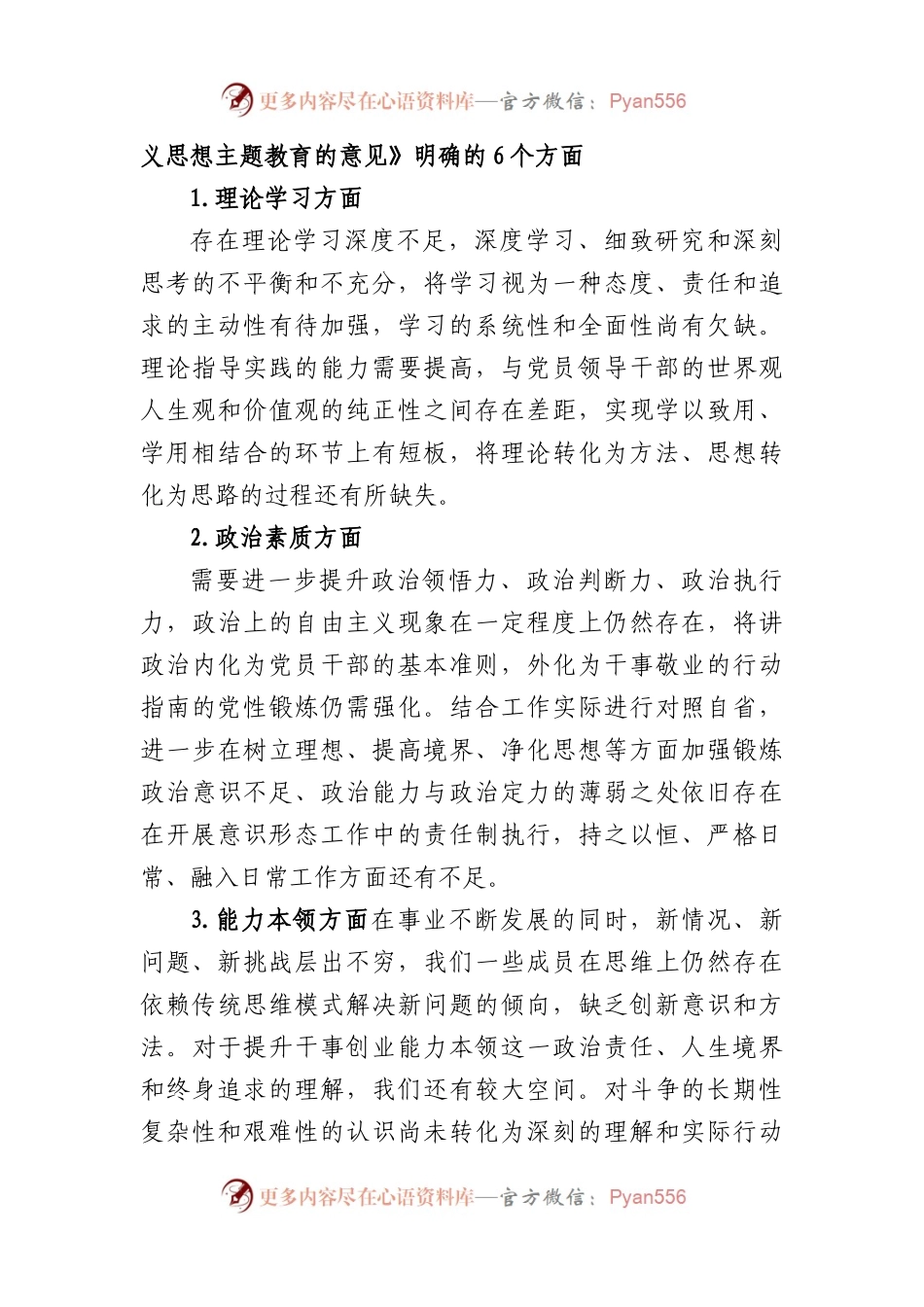 2023年主题教育民主生活会班子对照检查材料（6个方面 12条具体要求 政绩观剖析）(1).docx_第2页