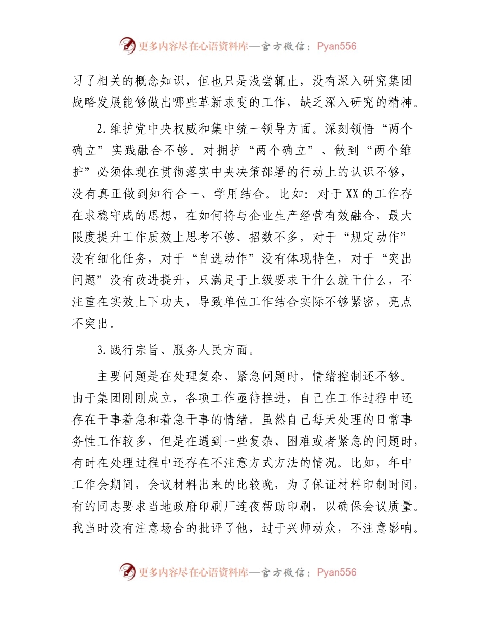 2023年主题教育专题民主生活会个人对照检查  国企总经理（践行宗旨等6个方面+案例剖析+上年度整改+个人事项）.docx_第2页
