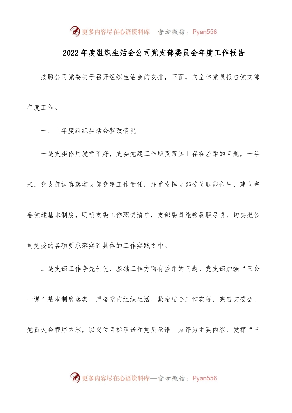2022年度组织生活会公司党支部委员会年度工作报告.docx_第1页