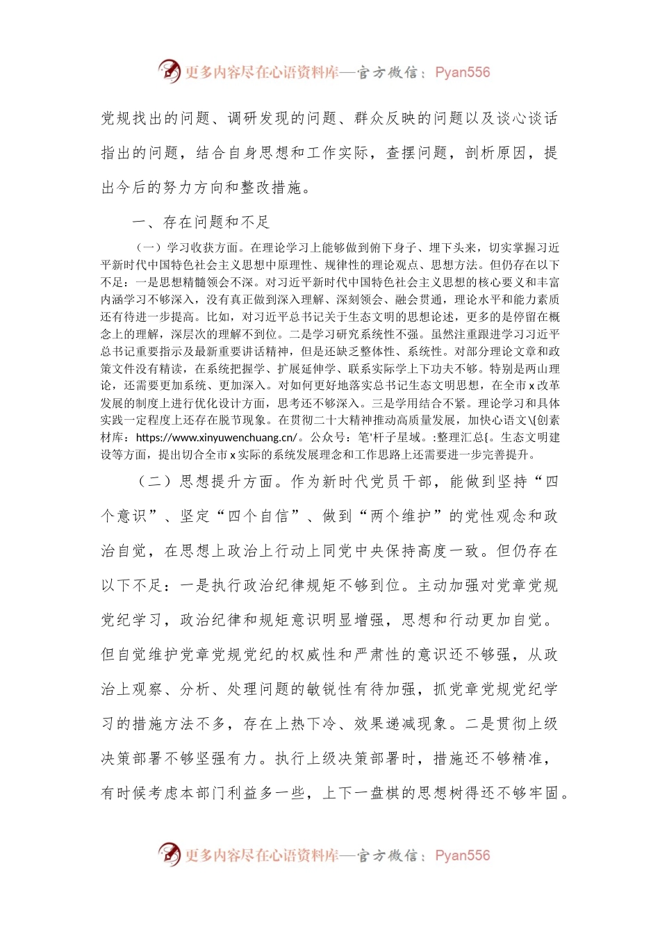 2022年民主生活会检视剖析材料（个人）（局党组书记、局长）1.docx_第2页