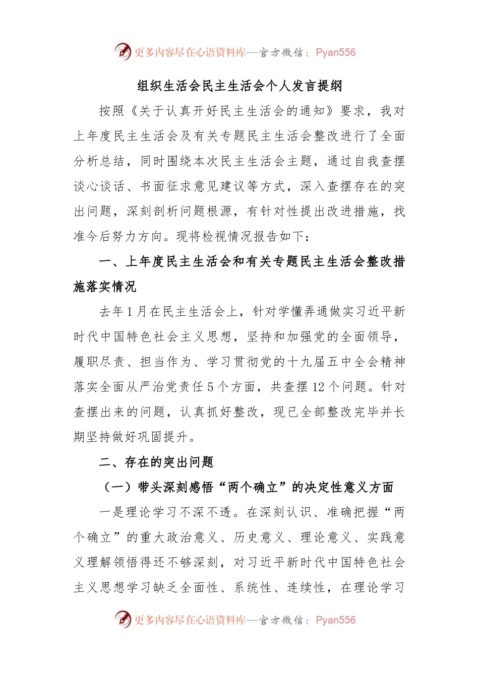 2023 组织生活会民主生活会个人发言提纲.docx_第1页