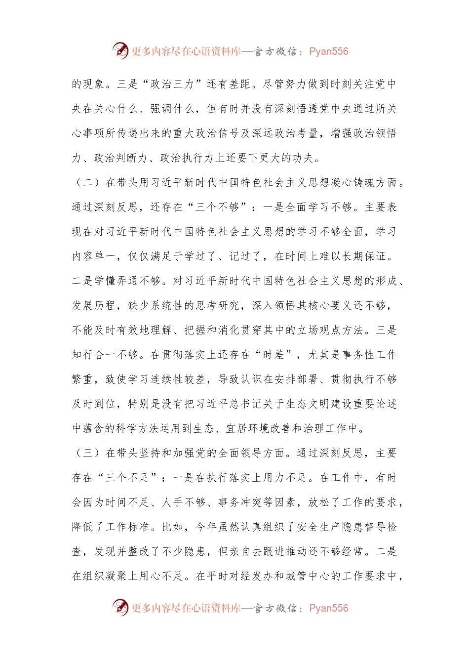 2022年度党员干部个人民主生活会发言材料（4486字）.docx_第2页
