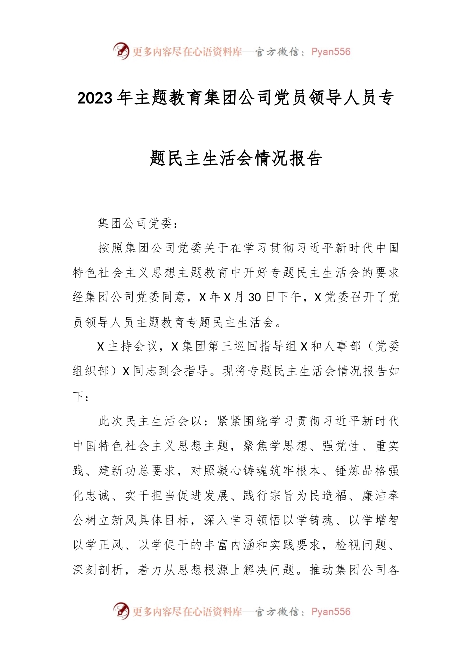 2023年主题教育集团公司党员领导人员专题民主生活会情况报告.docx_第1页