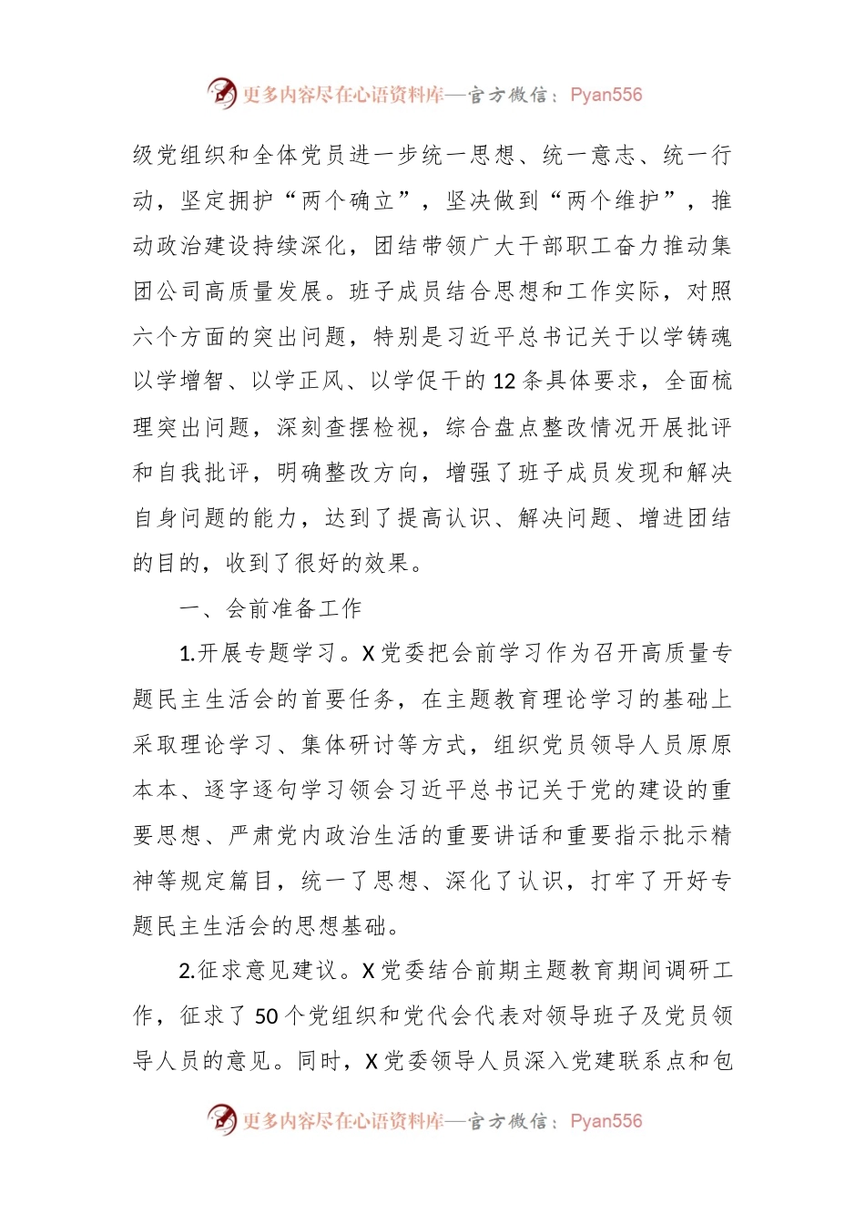 2023年主题教育集团公司党员领导人员专题民主生活会情况报告.docx_第2页