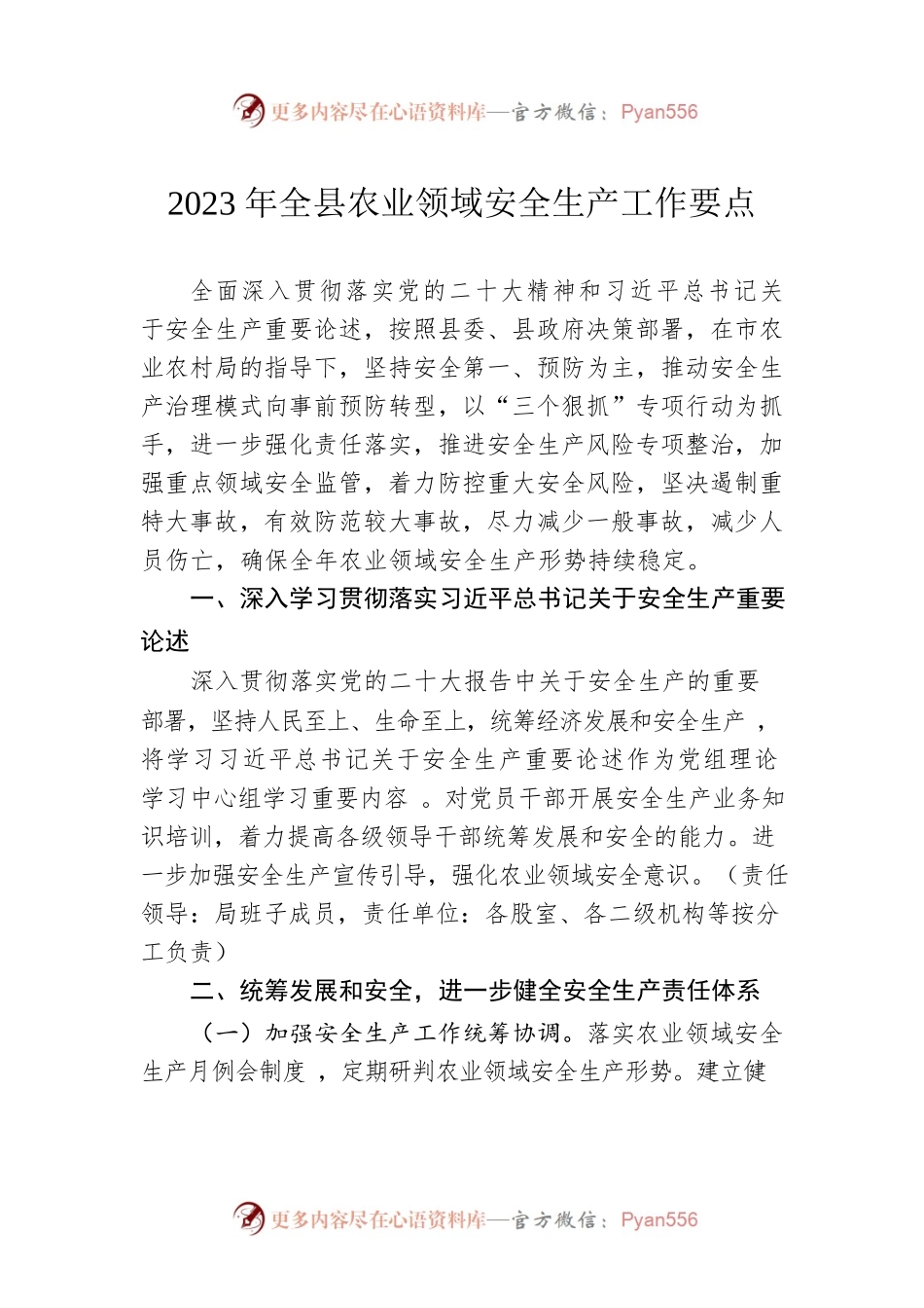 2023年全县农业领域安全生产工作要点（20230428）.docx_第1页