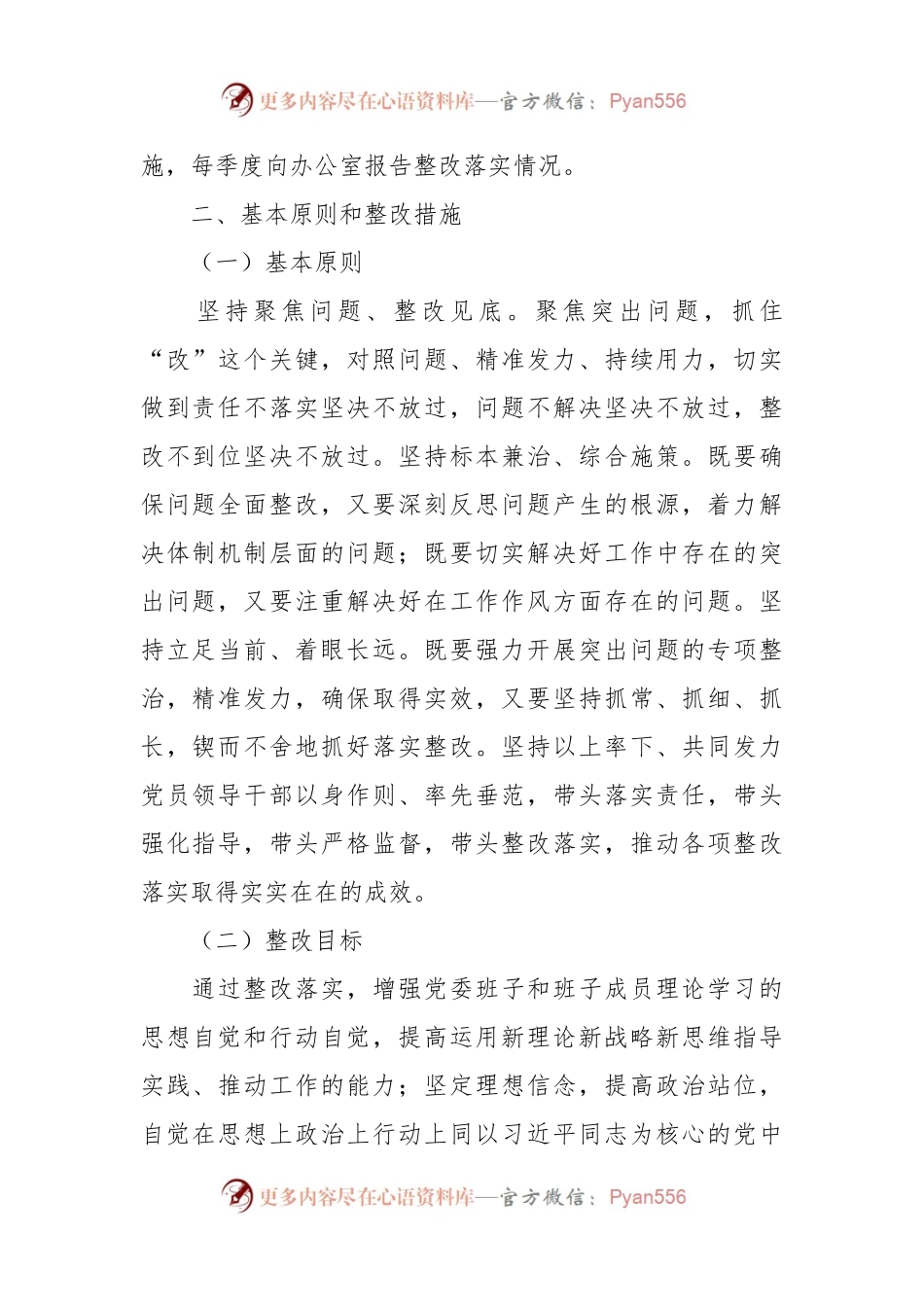 2023年主题教育专题党委民主生活会问题整改实施方案（2）.docx_第2页