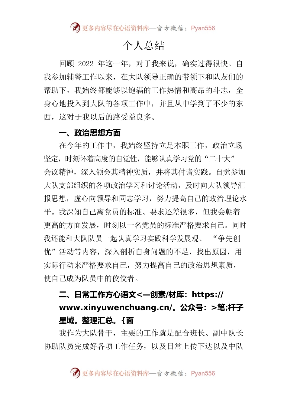 2022年辅警个人总结.docx_第1页