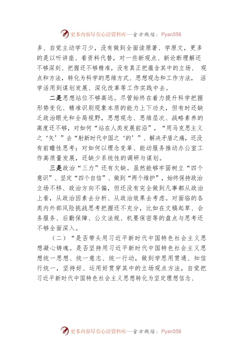 2022年民主生活会对照检查材料（县处级）.docx_第2页