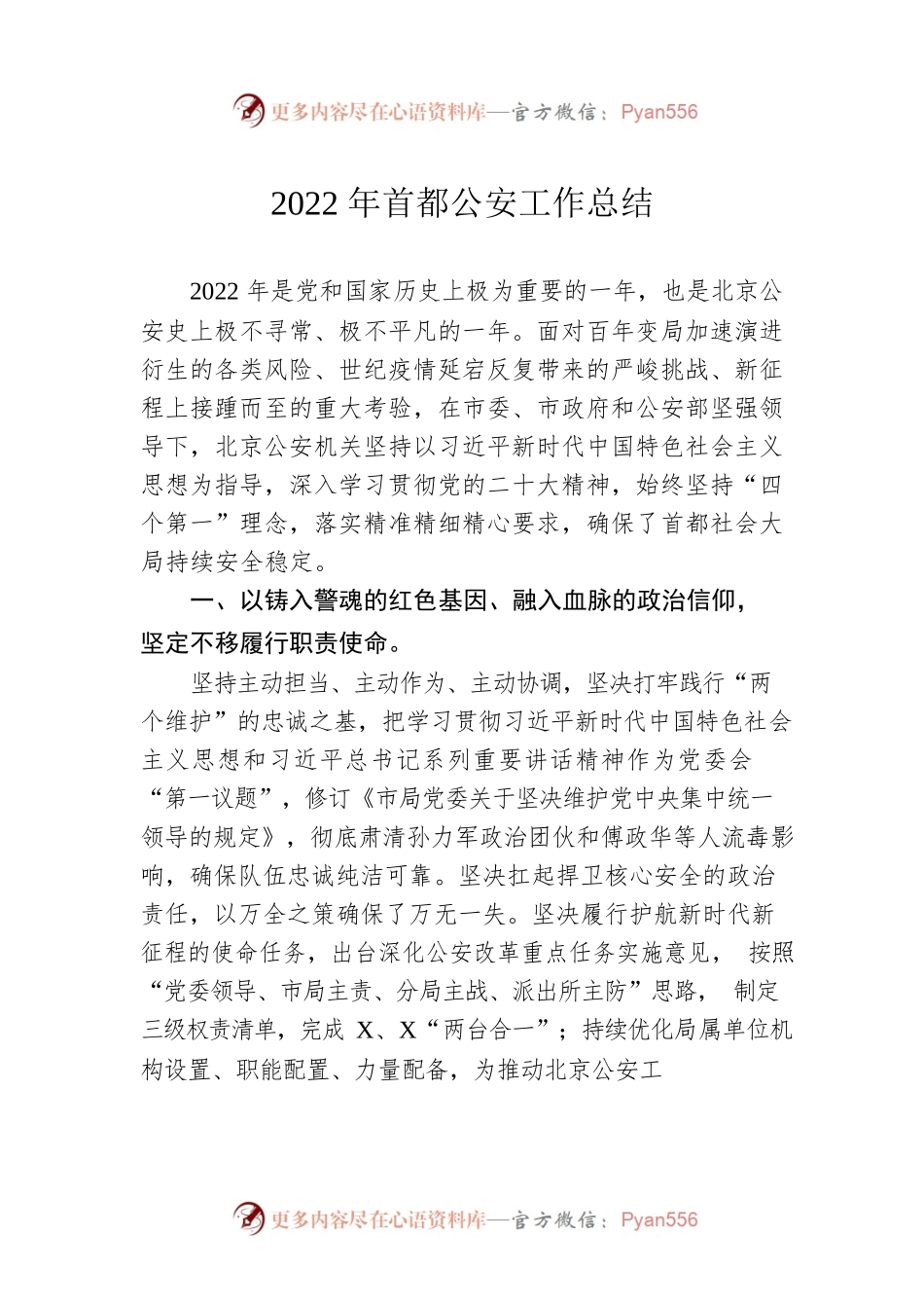 2022年首都公安工作总结（20230104）.docx_第1页