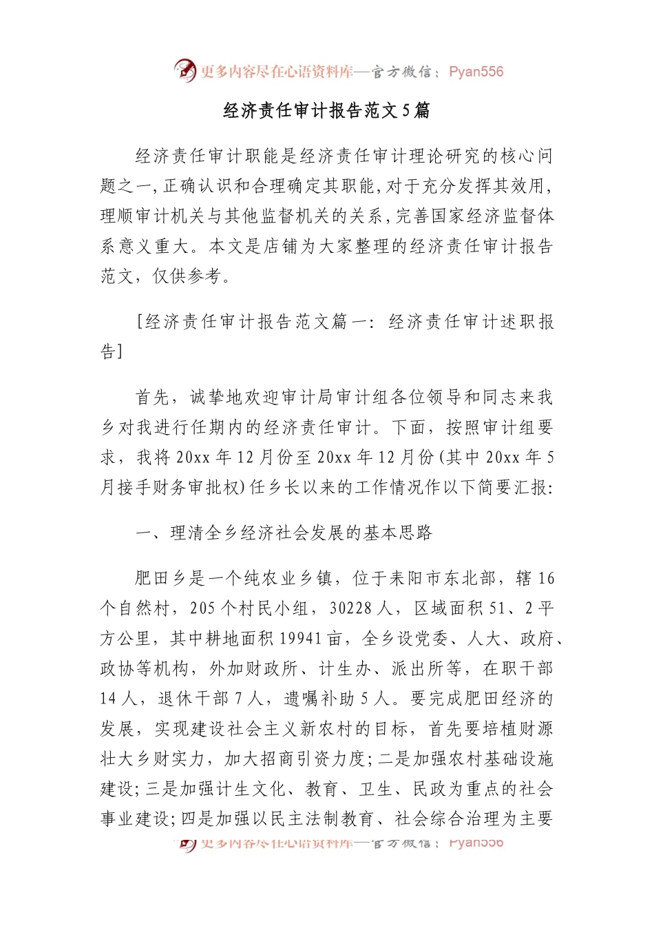 (5篇)经济责任审计报告范文.docx_第1页