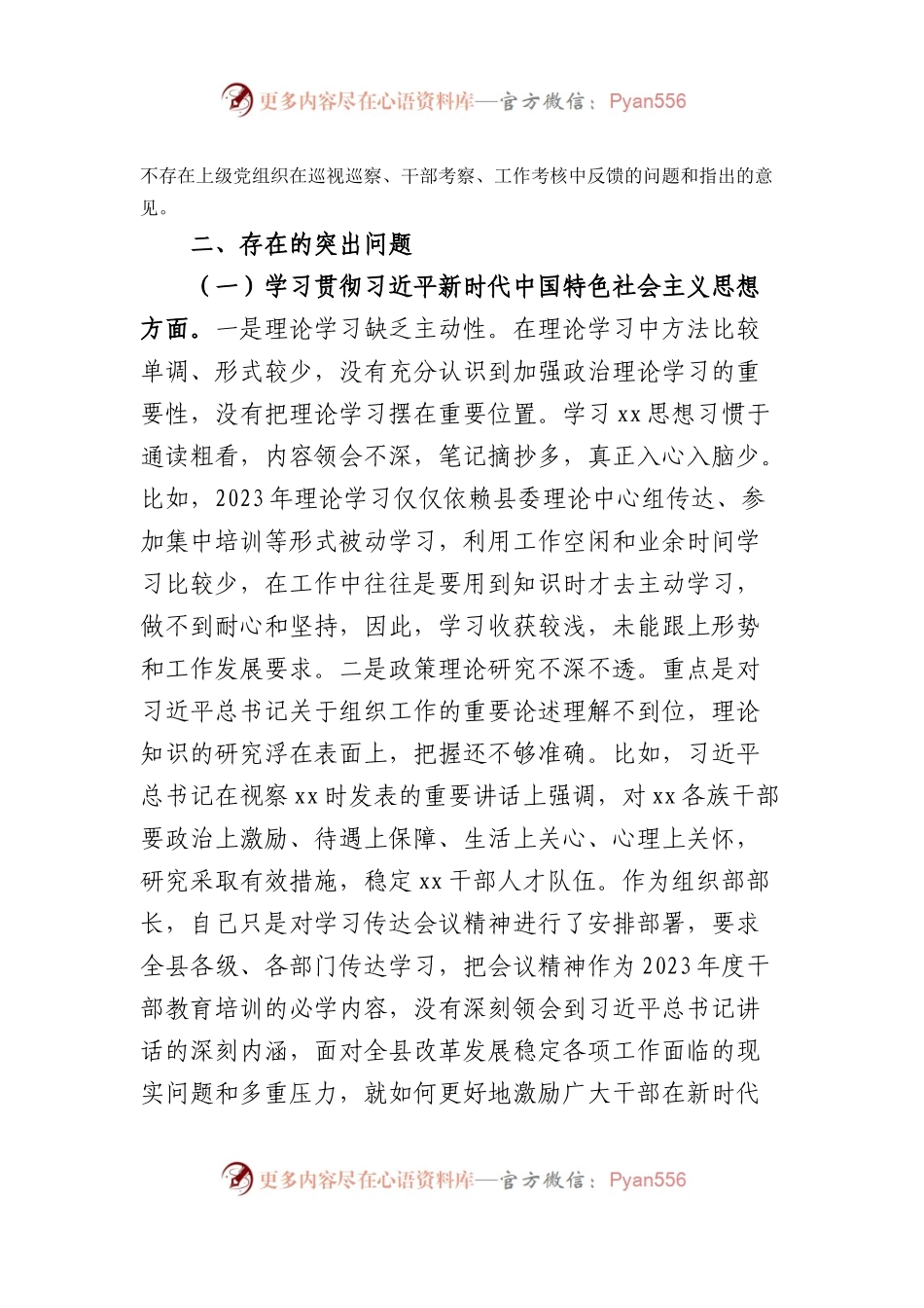 2023年主题教育专题民主生活会个人对照检查  组织部长（践行宗旨等6个方面+案例剖析+上年度整改+个人事项）(1).docx_第2页