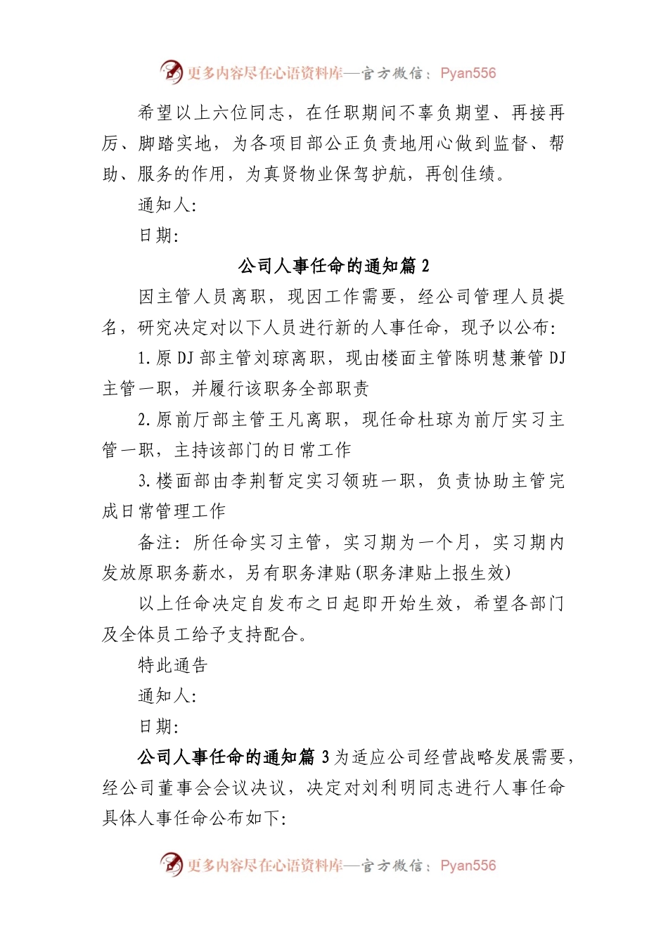 (10篇)公司人事任命的通知.docx_第2页