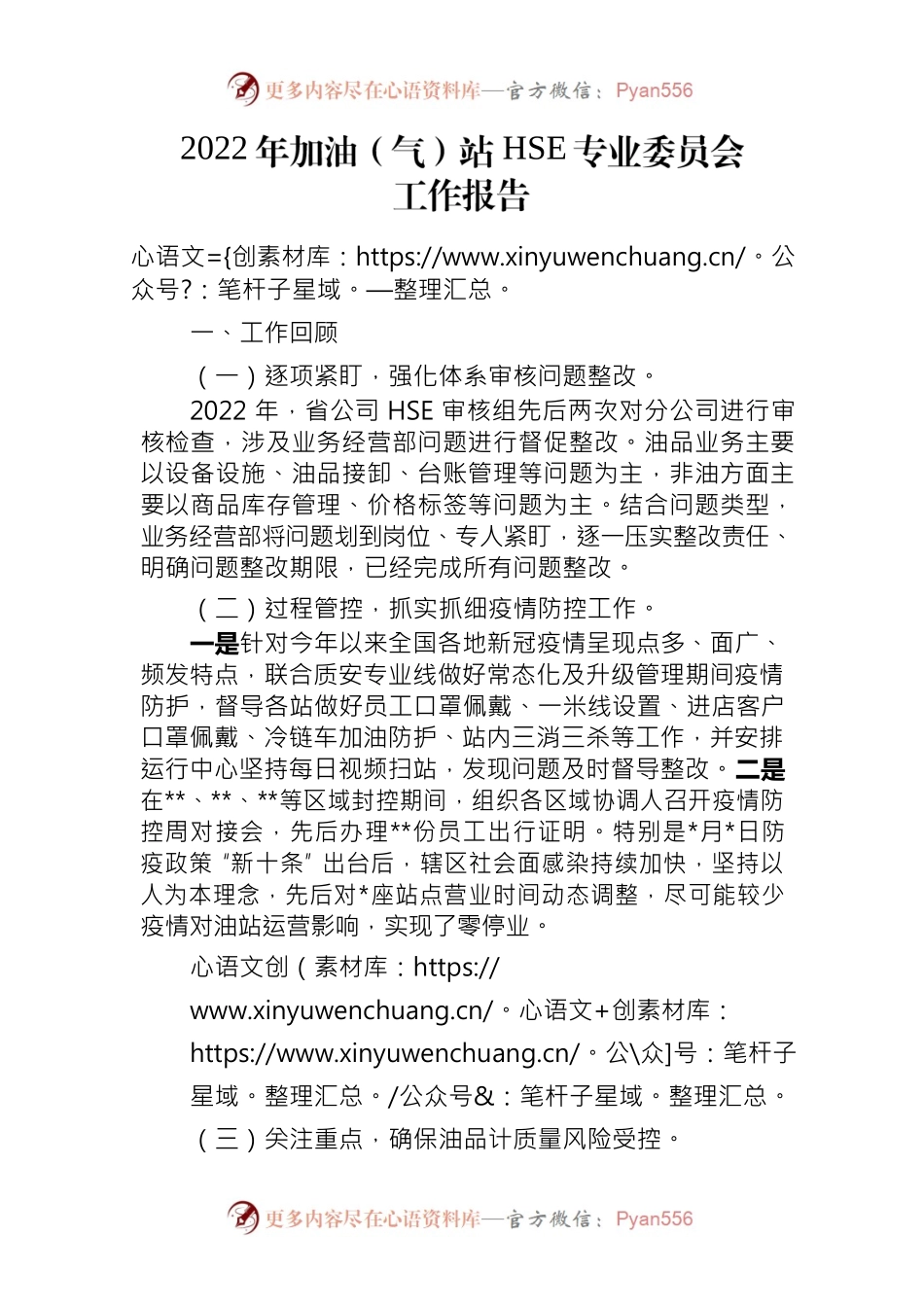 2022年加油站HSE专业委工作报告.docx_第1页