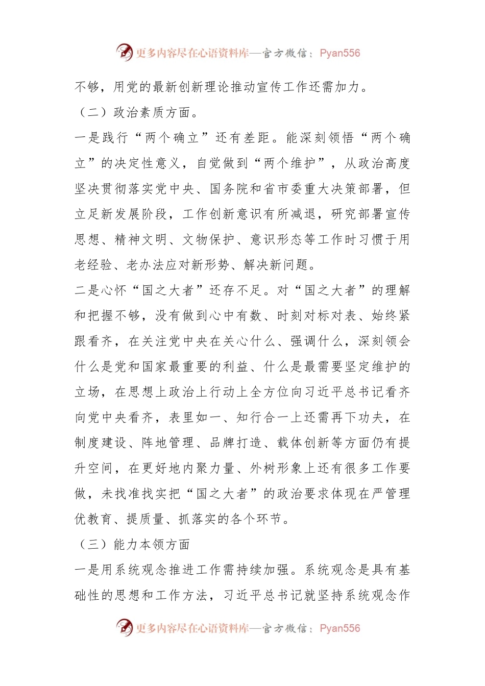 2023年主题教育民主生活会领导 干部个人发言提纲.docx_第2页