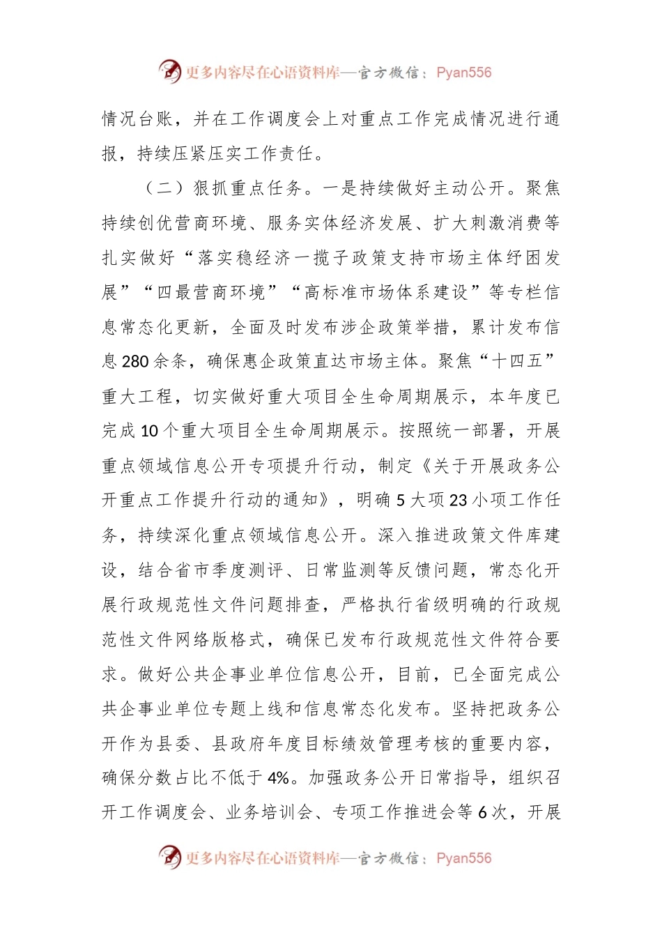 2023年XX县政务公开工作总结.docx_第2页