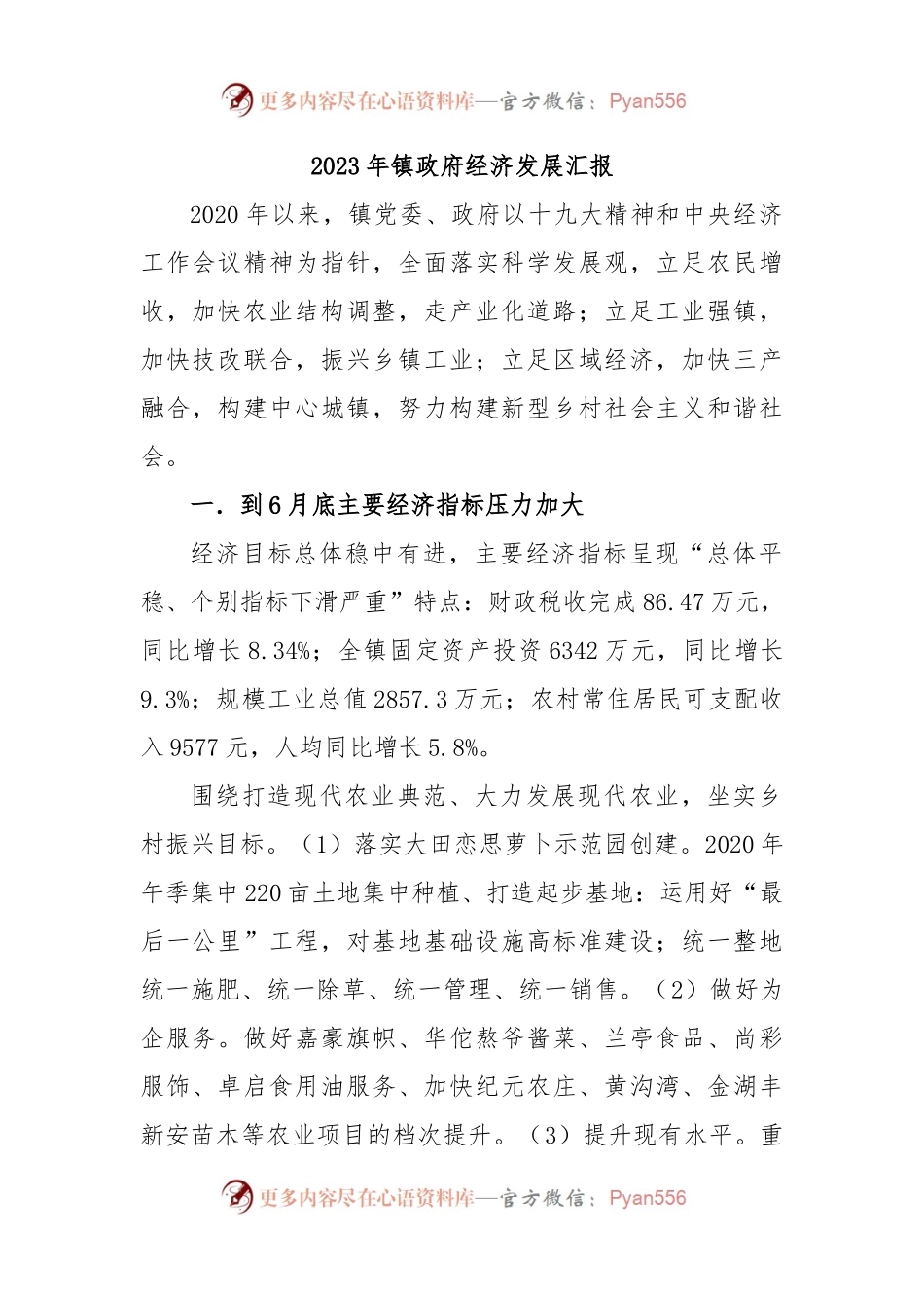 2023 年镇政府经济发展汇报.docx_第1页