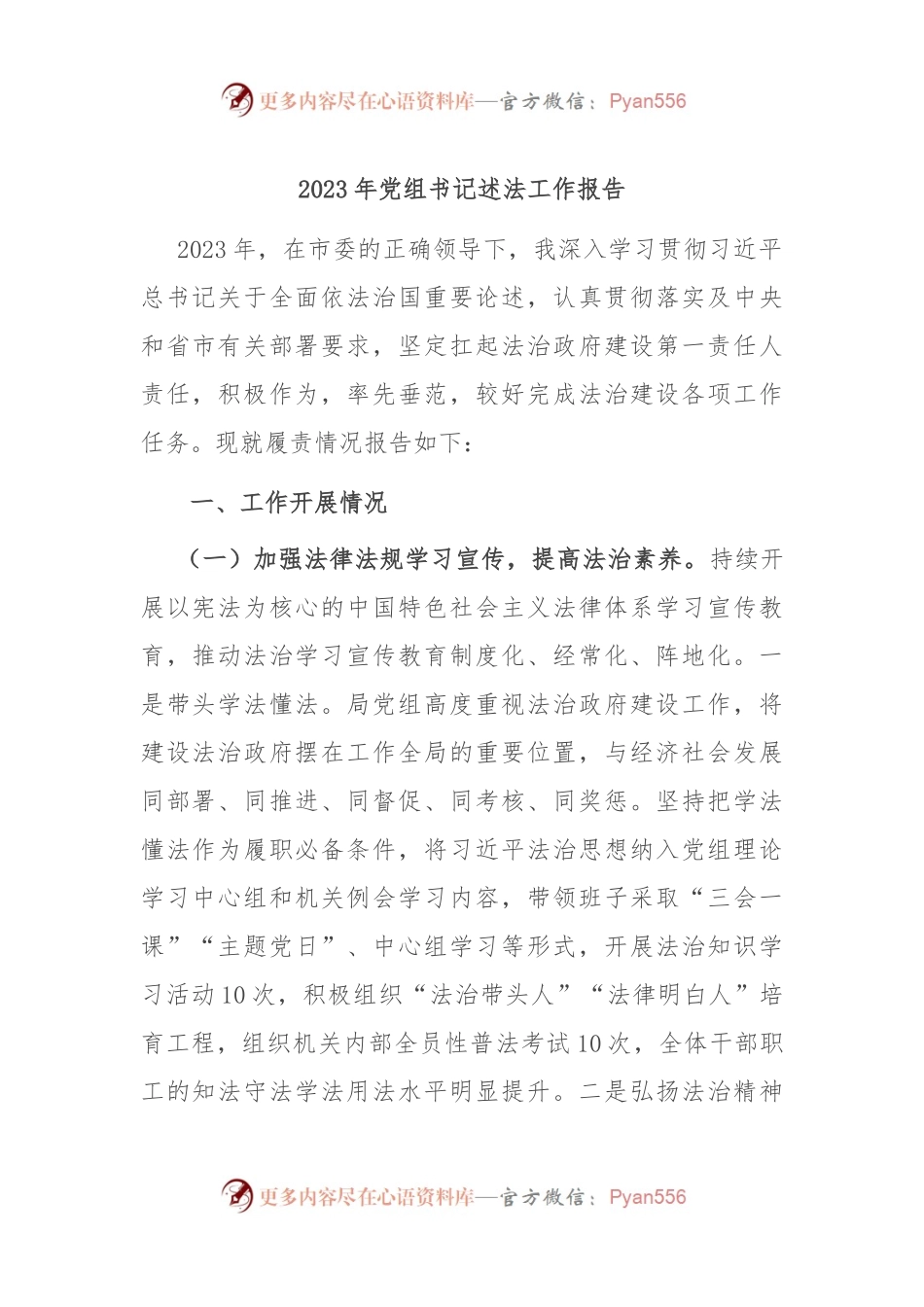 2023年党组书记述法工作报告.docx_第1页