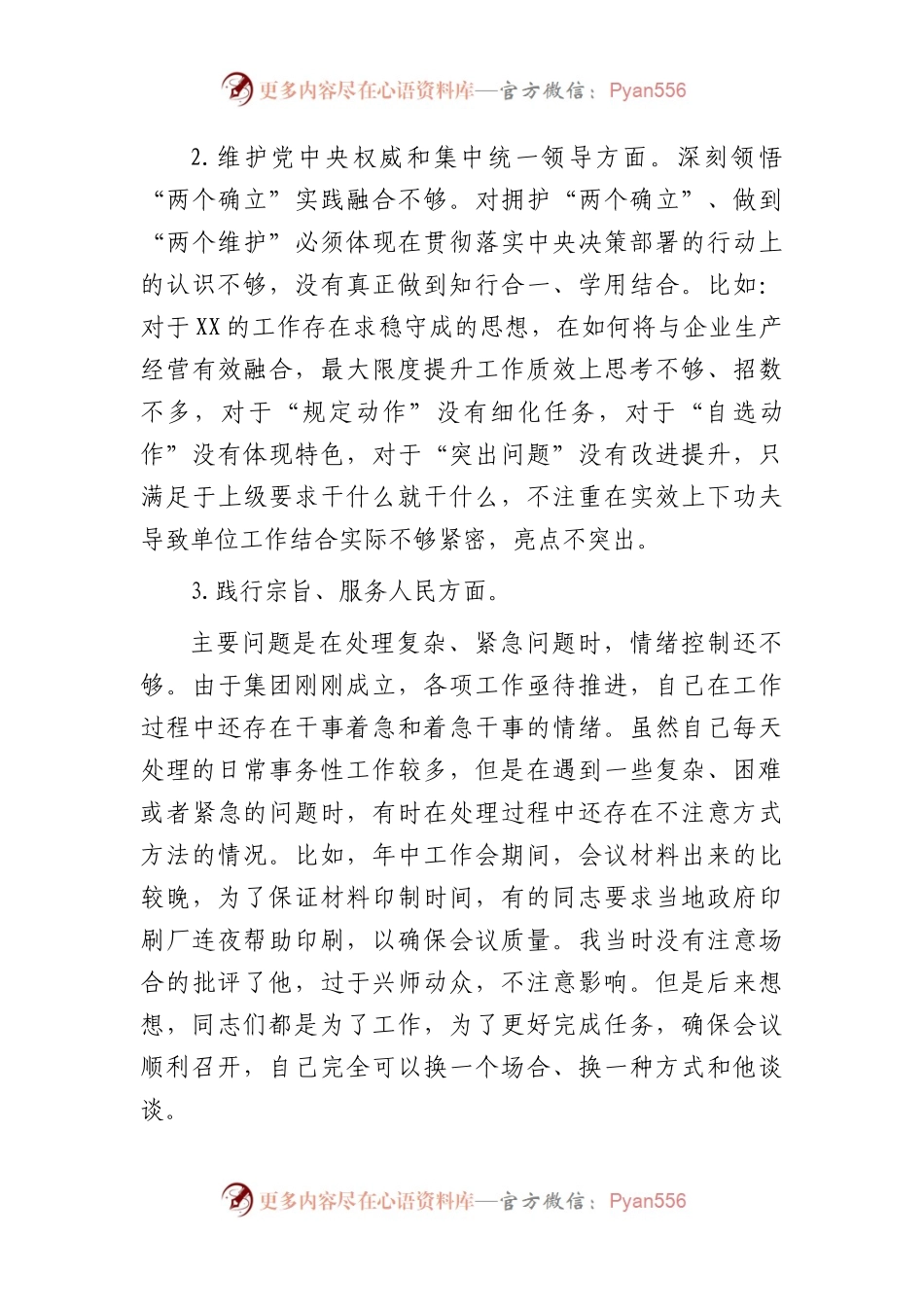 2023年主题教育专题民主生活会个人对照检查  国企总经理（践行宗旨等6个方面+案例剖析+上年度整改+个人事项）(1).docx_第2页