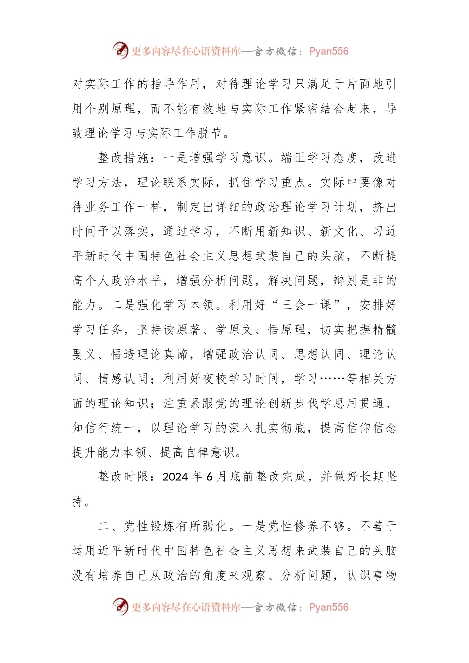 2023党员领导干部民主生活会整改方案模板.docx_第2页