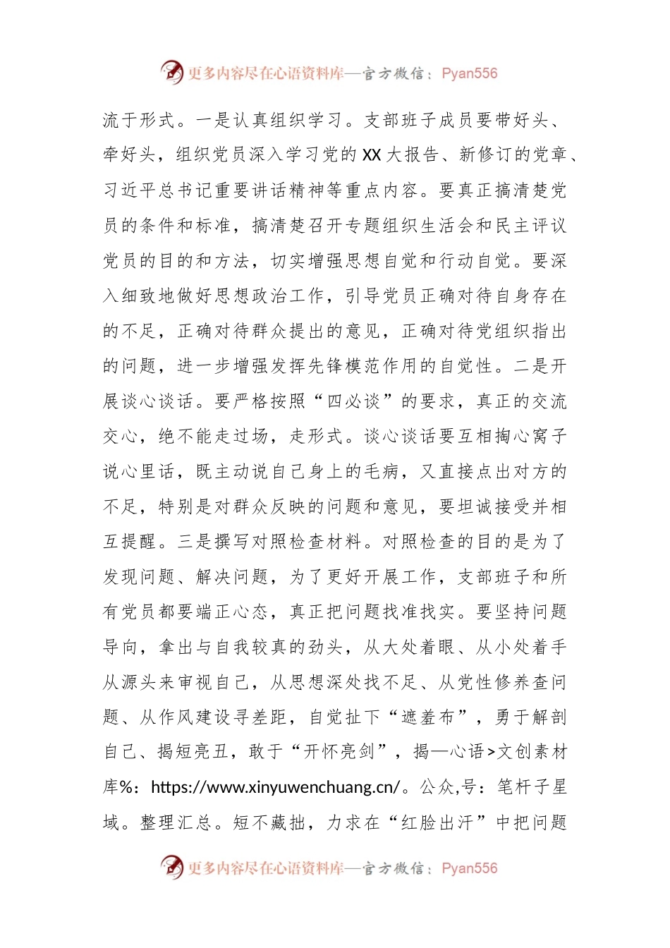 2022年度组织生活会和民主评议关于党员动员部署会上的讲话提纲.docx_第2页