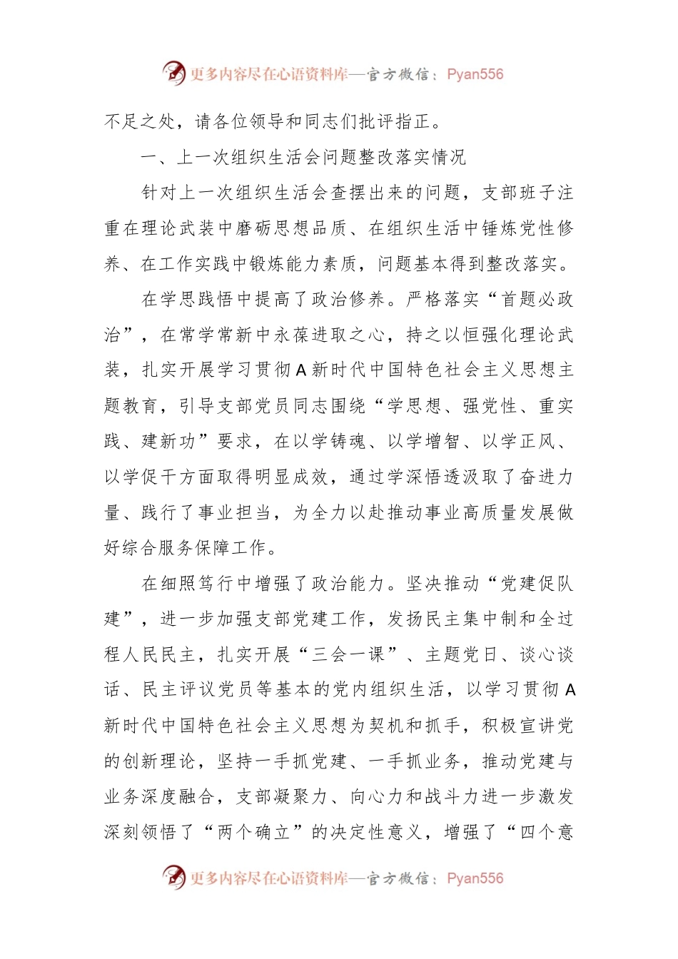 2023年主题教育 专题组织生活会党支部对照检查材料.docx_第2页