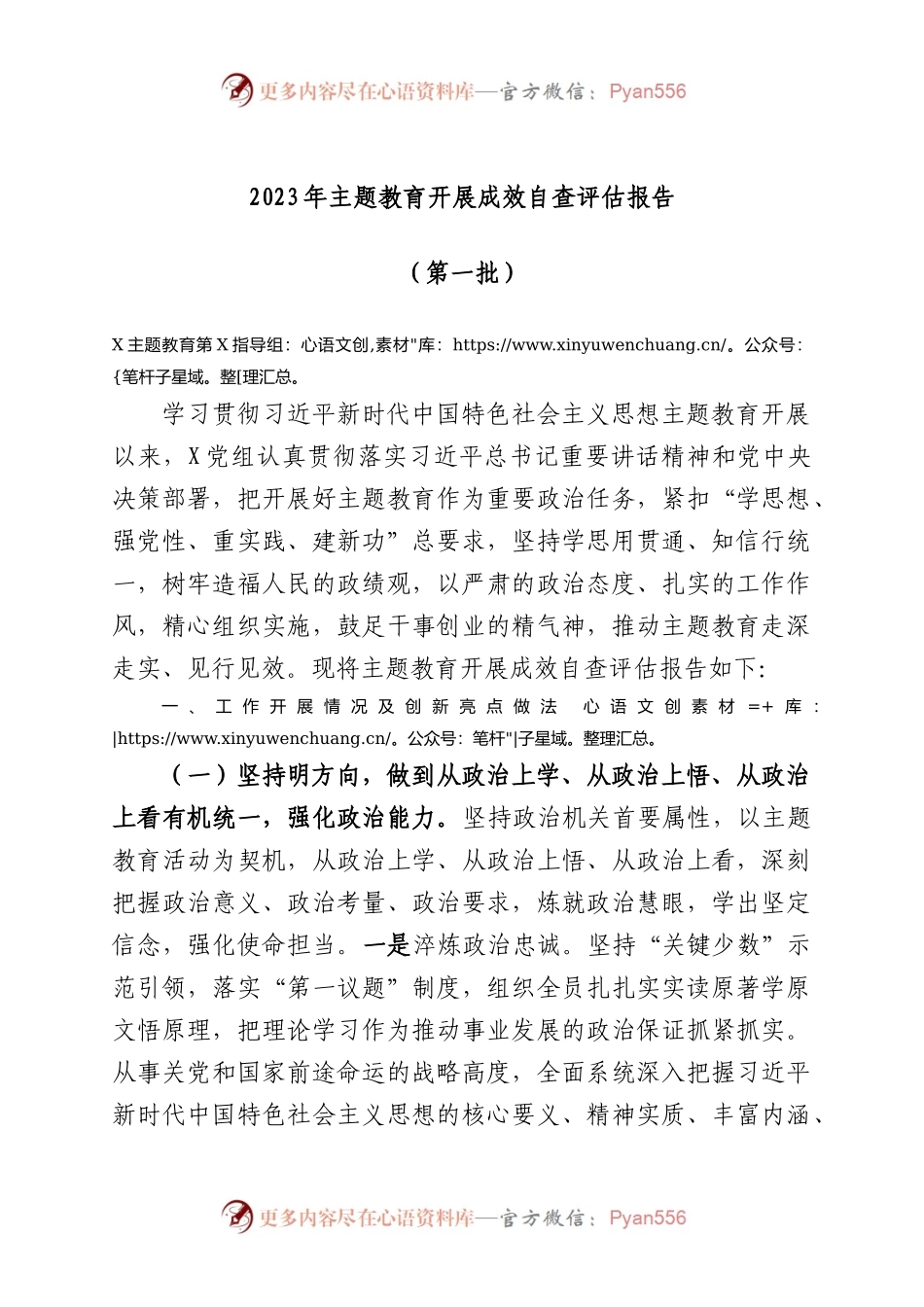 2023年主题教育开展成效自查评估报告（第一批）.docx_第1页