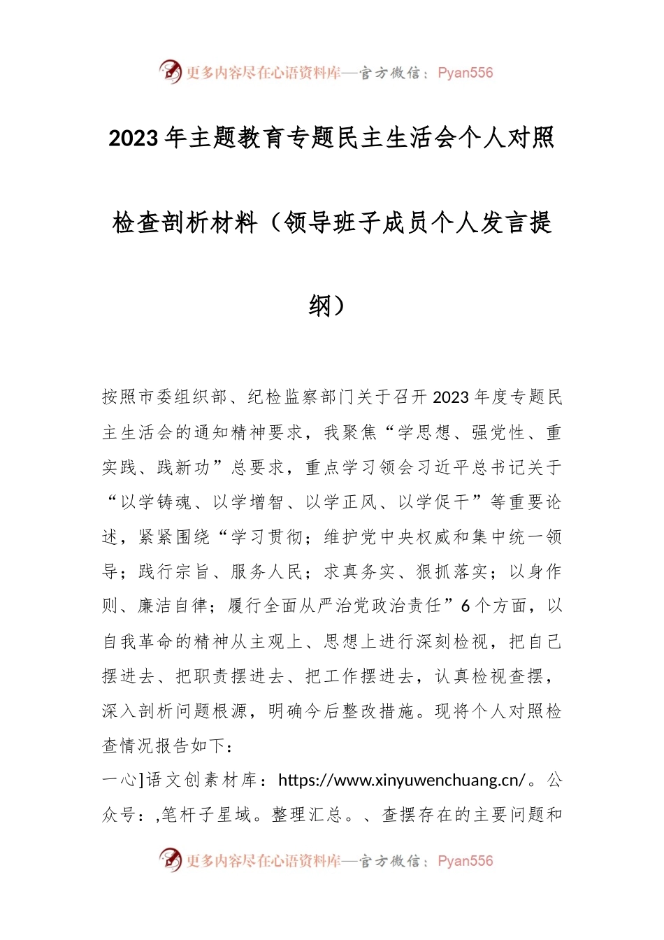 2023年主题教育专题民主生活会个人对照检查剖析材料（领导班子成员个人发言稿提纲）.docx_第1页