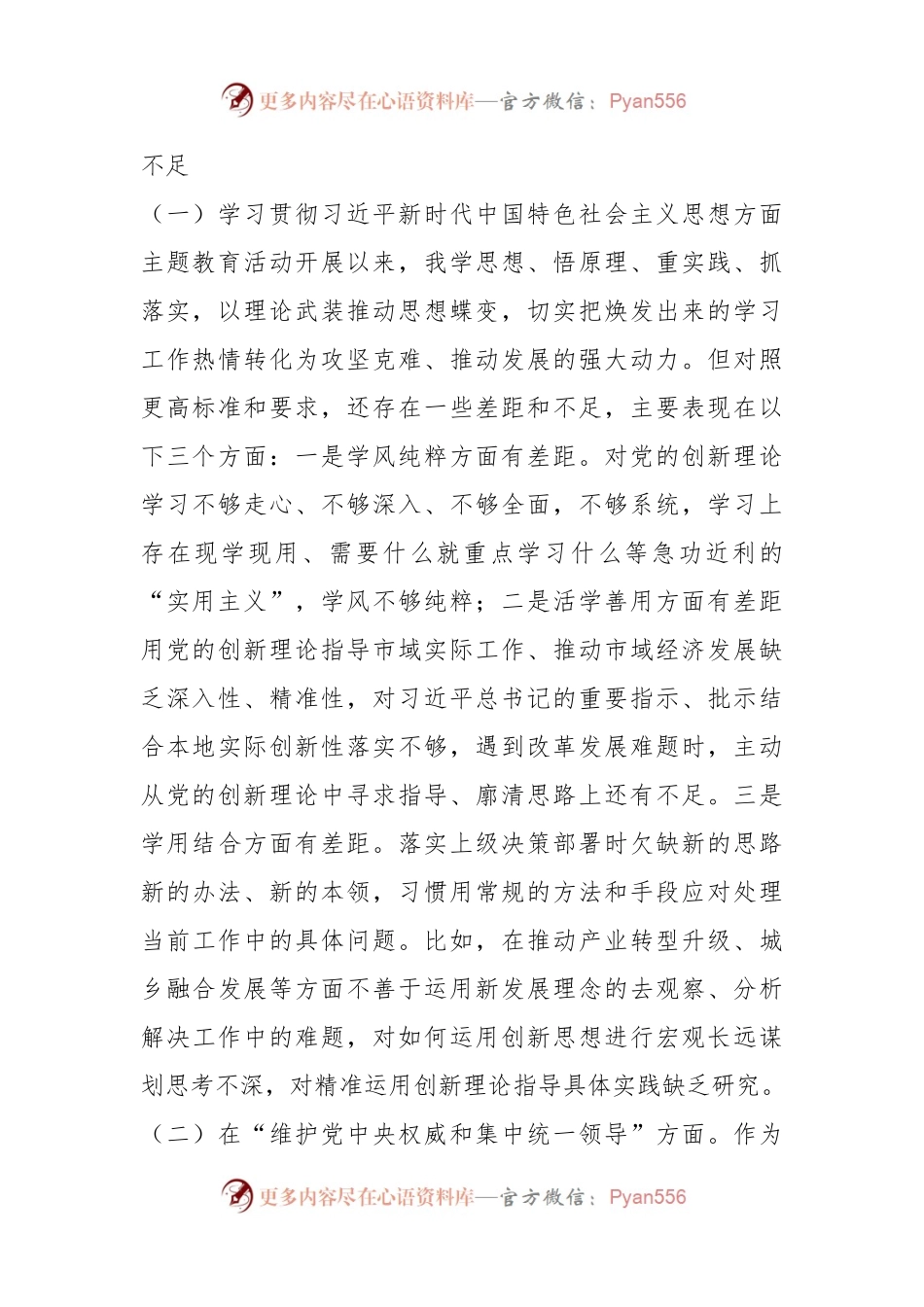 2023年主题教育专题民主生活会个人对照检查剖析材料（领导班子成员个人发言稿提纲）.docx_第2页