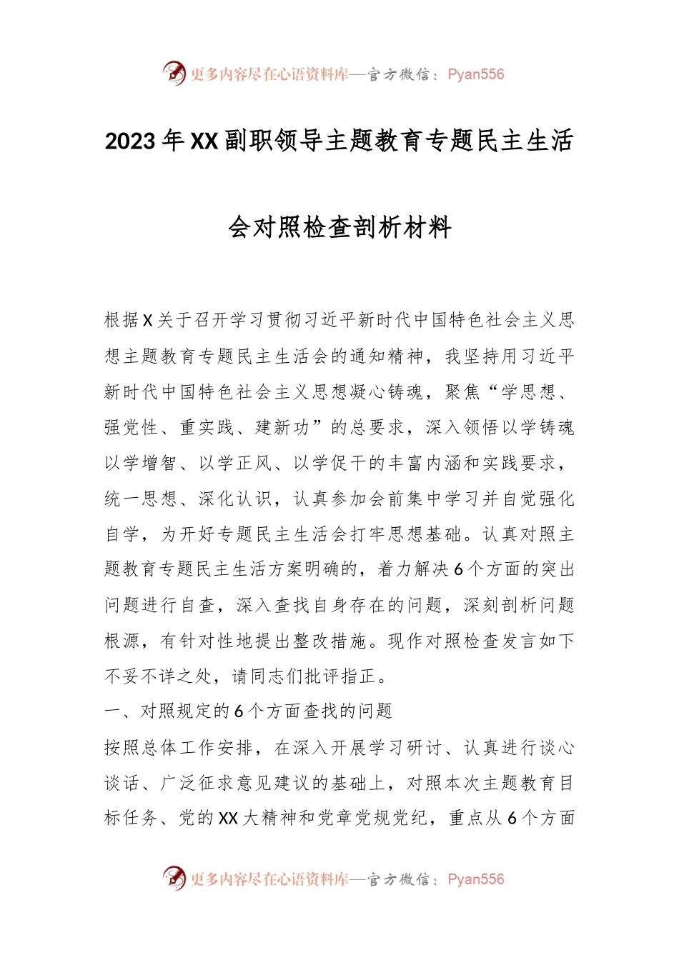 2023年XX副职领导主题教育专题民主生活会对照检查剖析材料.docx_第1页
