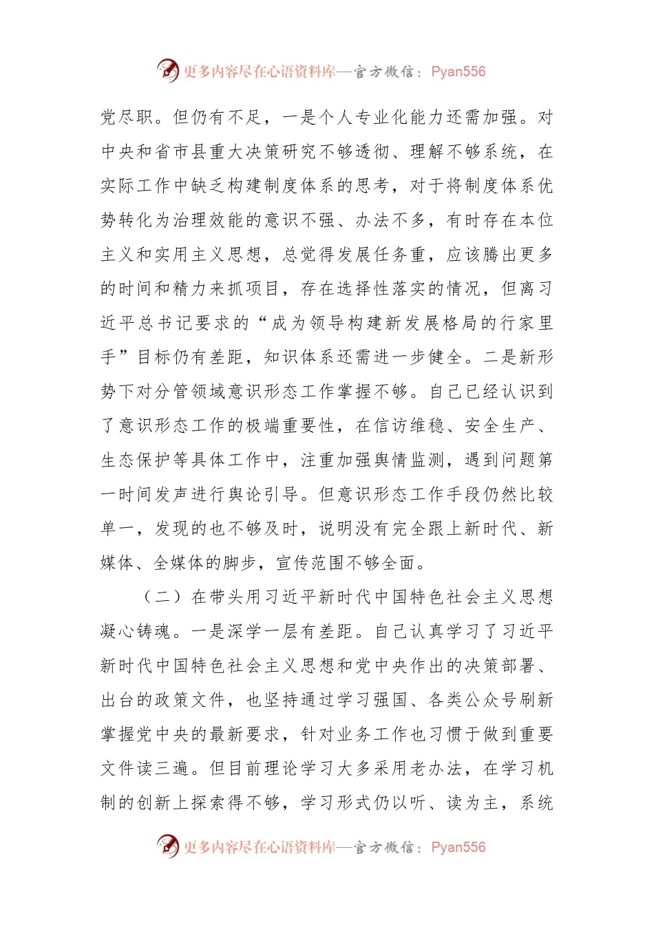 2022年党员领导干部民主生活会个人对照检查情况报告.docx_第2页